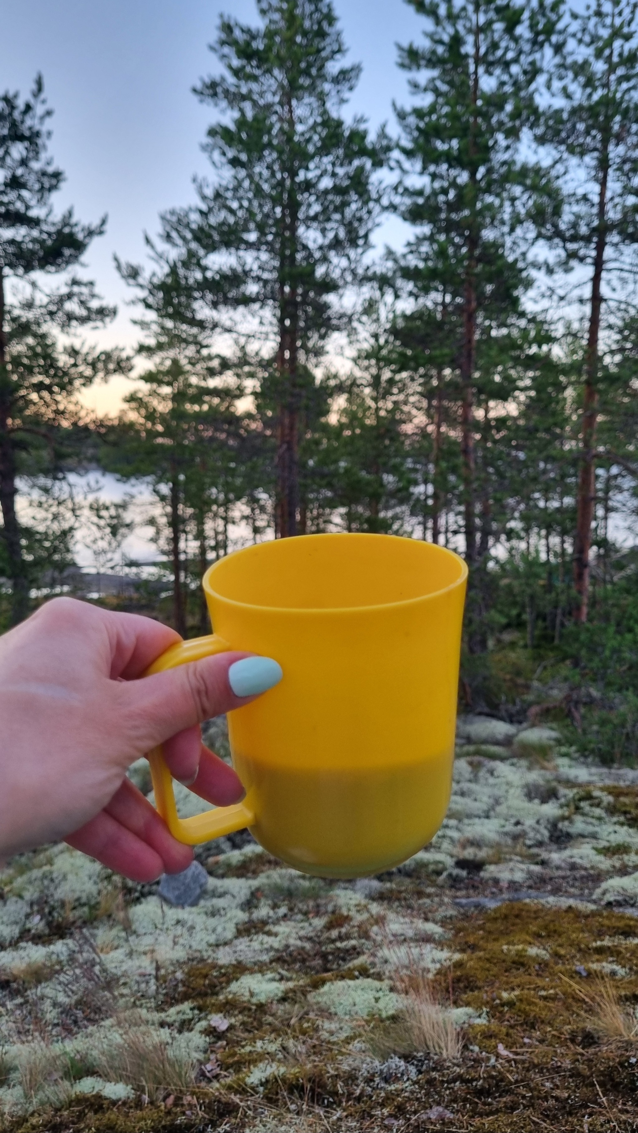 And again camping: Ladoga skerries with two overnight stays - My, Boat trip, Camping, Ladoga skerries, The rocks, Hike, Longpost, Relaxation