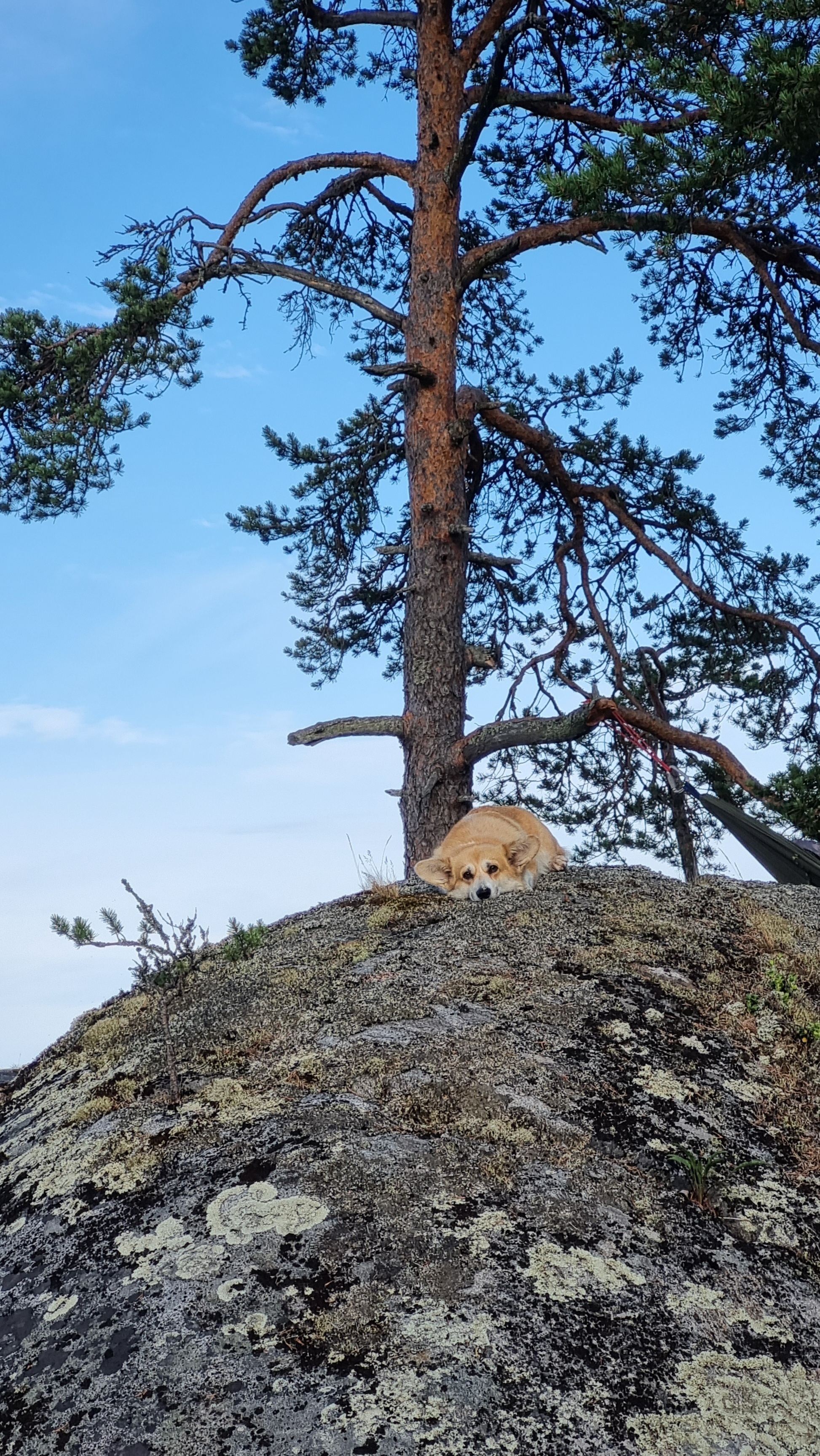 And again camping: Ladoga skerries with two overnight stays - My, Boat trip, Camping, Ladoga skerries, The rocks, Hike, Longpost, Relaxation