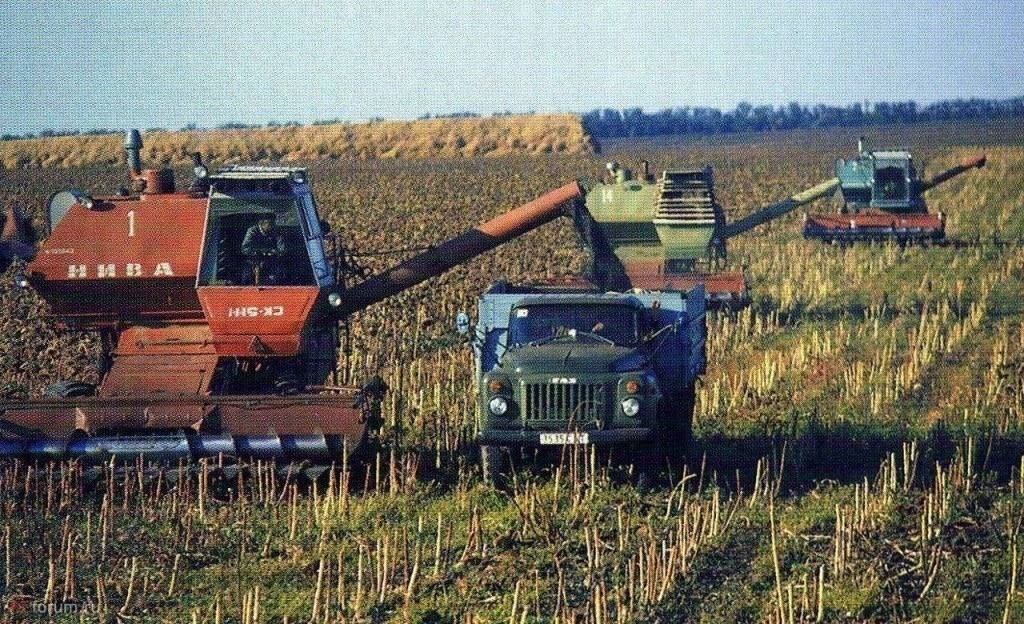 National economy of the USSR - the USSR, Youth, Youth, Nostalgia, Work, Field, Technics, Car, Workers, The photo, Old photo, Telegram (link)