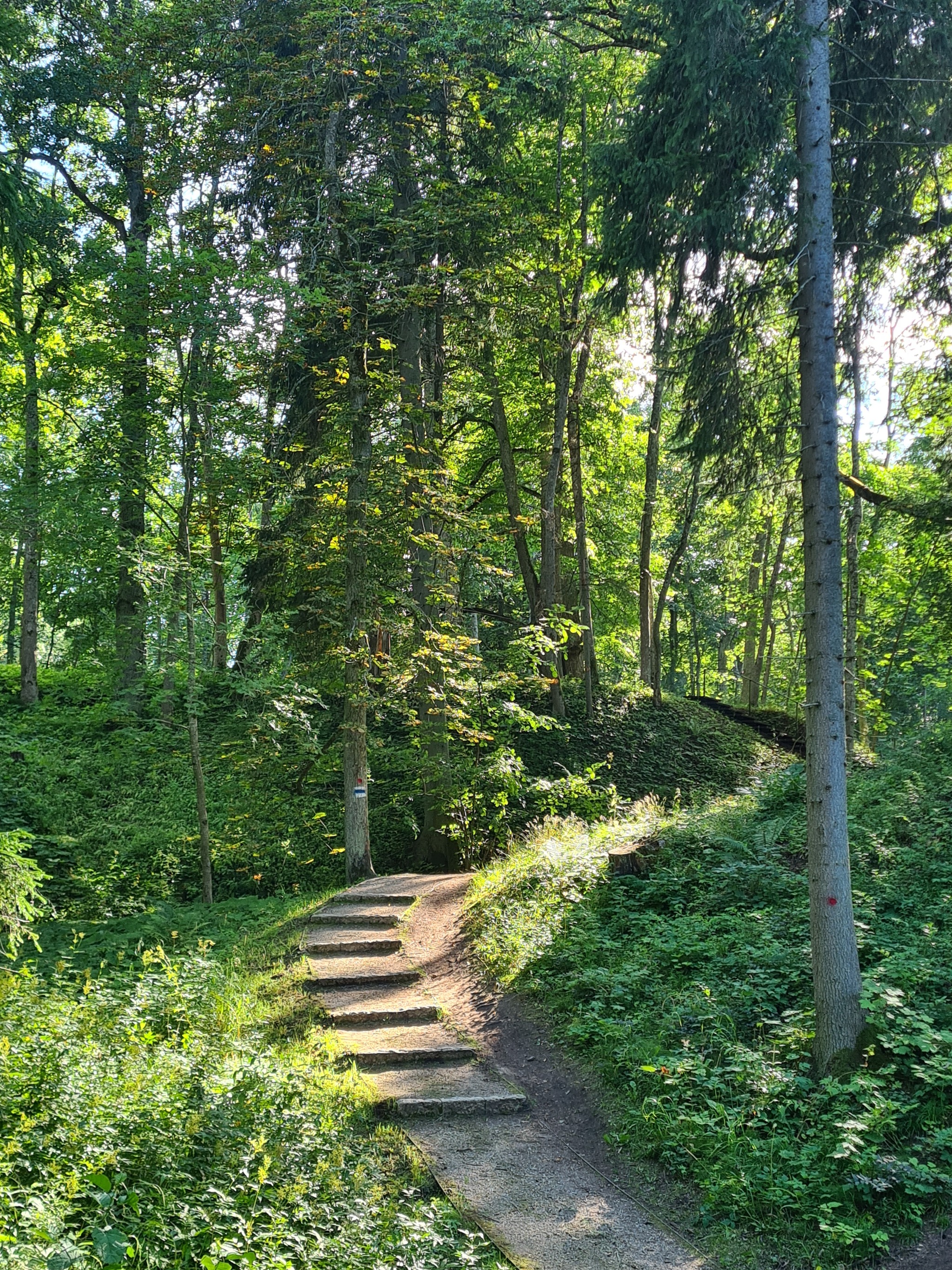 Walk to the waterfall - My, The photo, Nature, Estonia, Waterfall, Longpost