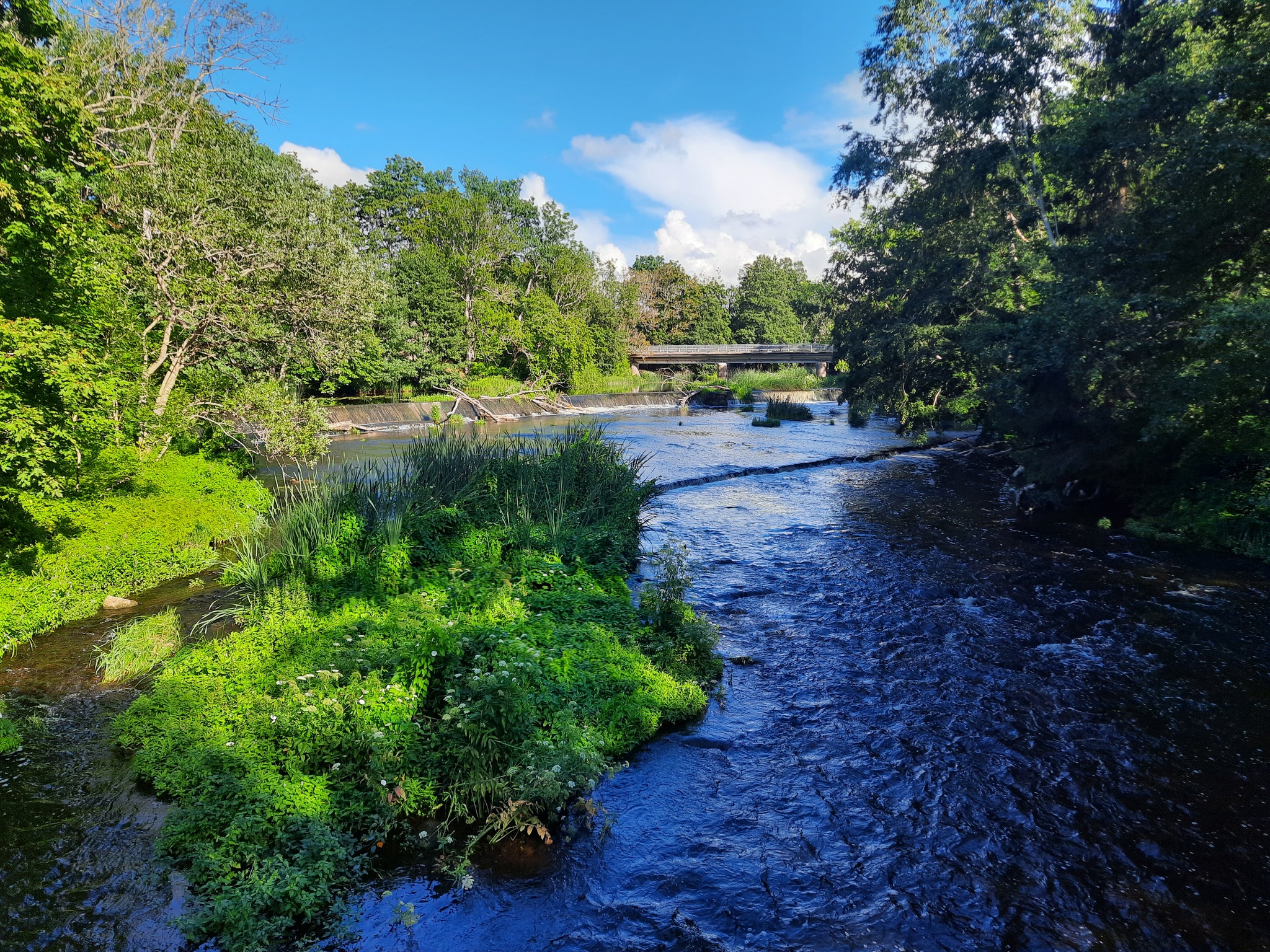 Walk to the waterfall - My, The photo, Nature, Estonia, Waterfall, Longpost