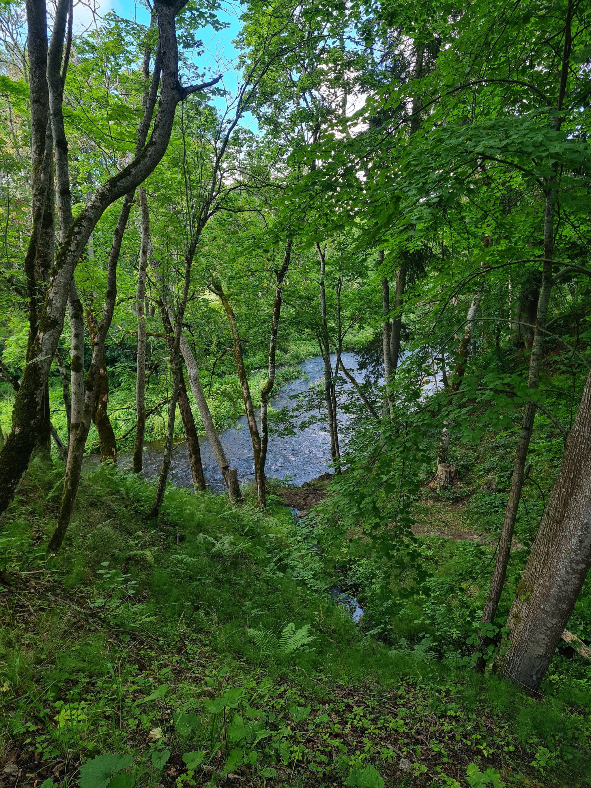 Walk to the waterfall - My, The photo, Nature, Estonia, Waterfall, Longpost