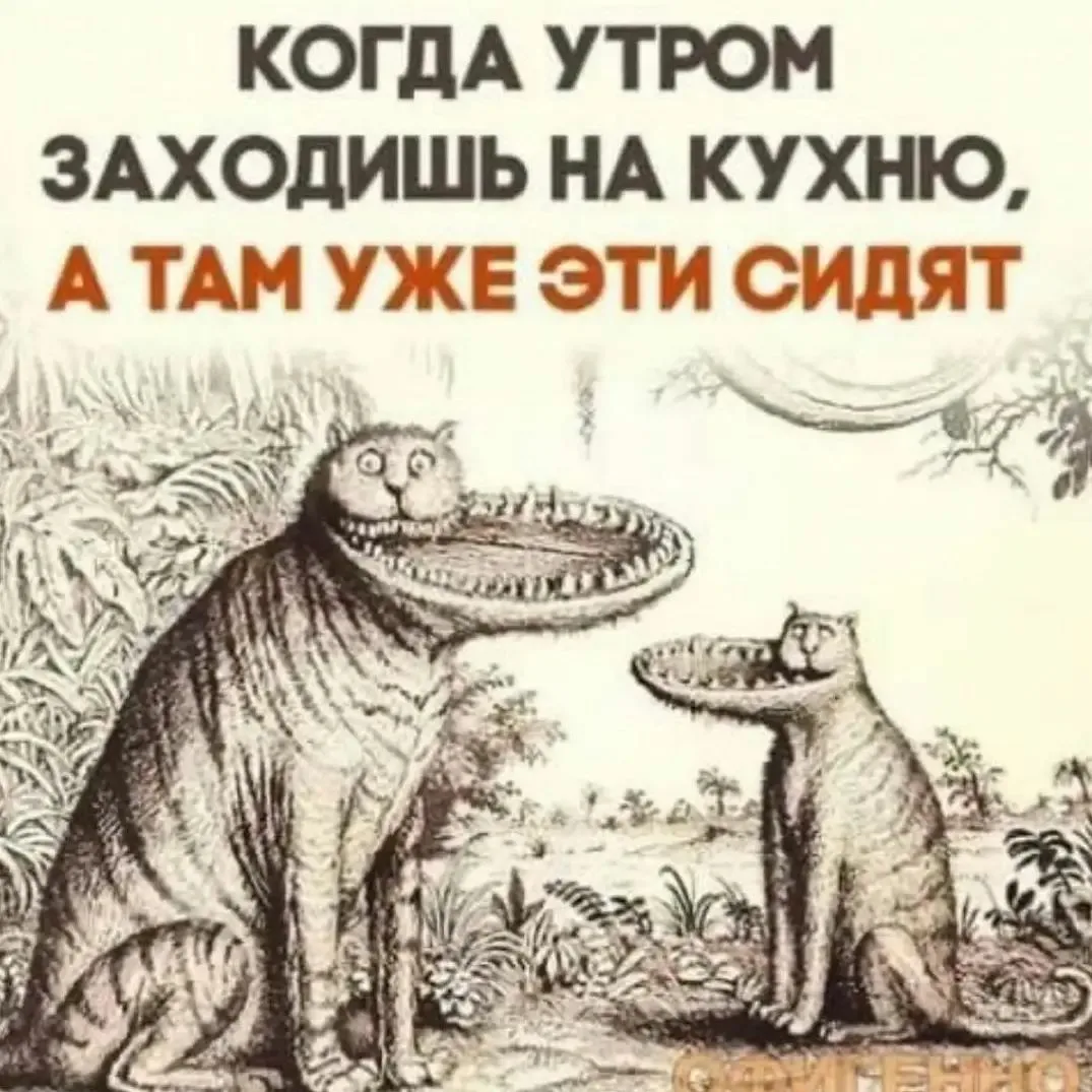 Всратых котов накопилось. Разбирайте! - Мемы, Картинка с текстом, Картинки, Кот, Толстые котики, Повтор, Длиннопост