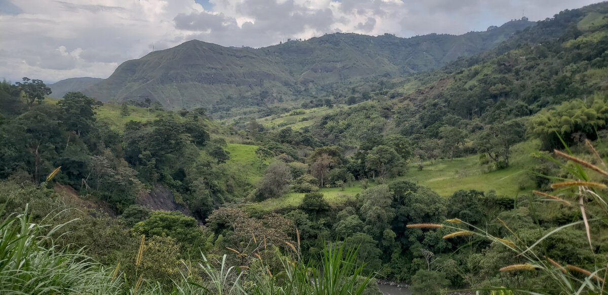 Solo cycling expedition across South America. Part 1 Colombia. Chapter 31. La Sierra - My, A bike, Travels, Solo travel, Bike trip, South America, Bike ride, Colombia, Road, The mountains, Andes, Longpost