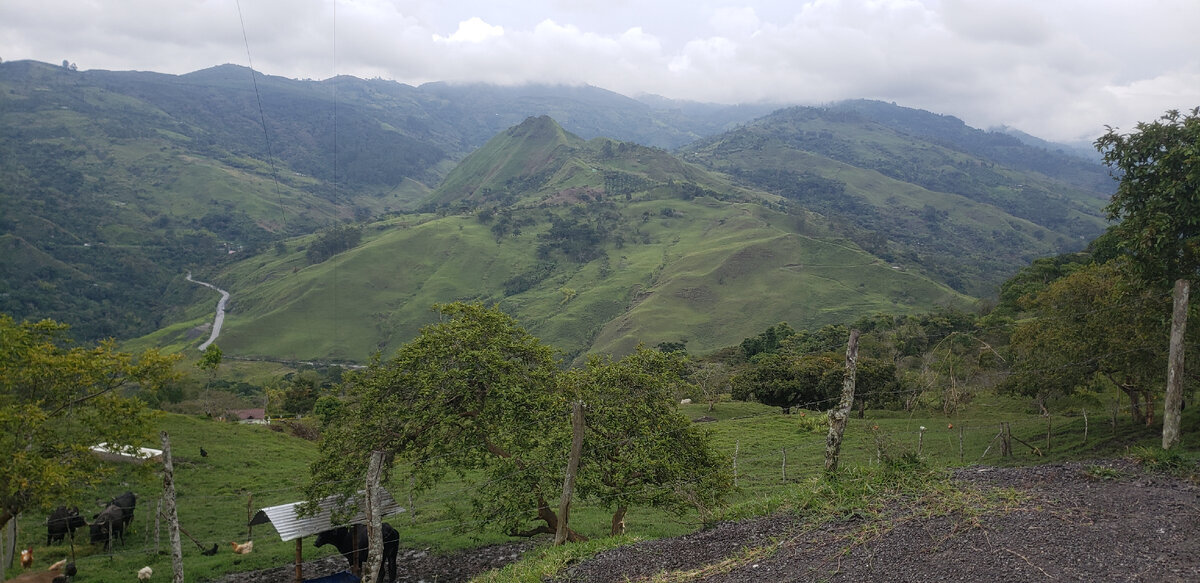 Solo cycling expedition across South America. Part 1 Colombia. Chapter 31. La Sierra - My, A bike, Travels, Solo travel, Bike trip, South America, Bike ride, Colombia, Road, The mountains, Andes, Longpost