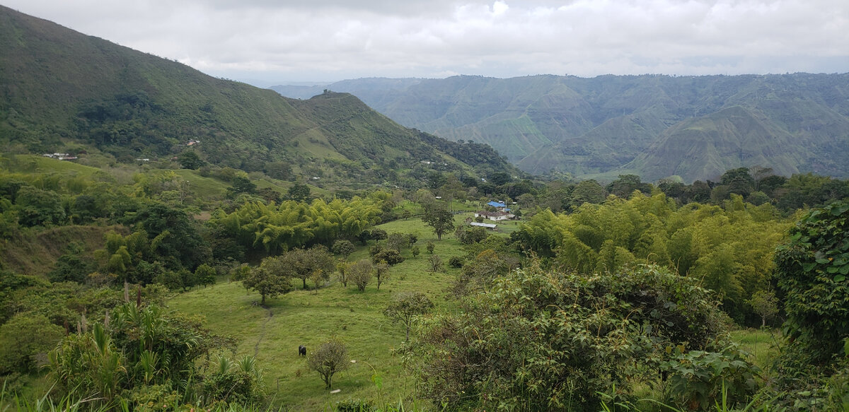 Solo cycling expedition across South America. Part 1 Colombia. Chapter 31. La Sierra - My, A bike, Travels, Solo travel, Bike trip, South America, Bike ride, Colombia, Road, The mountains, Andes, Longpost