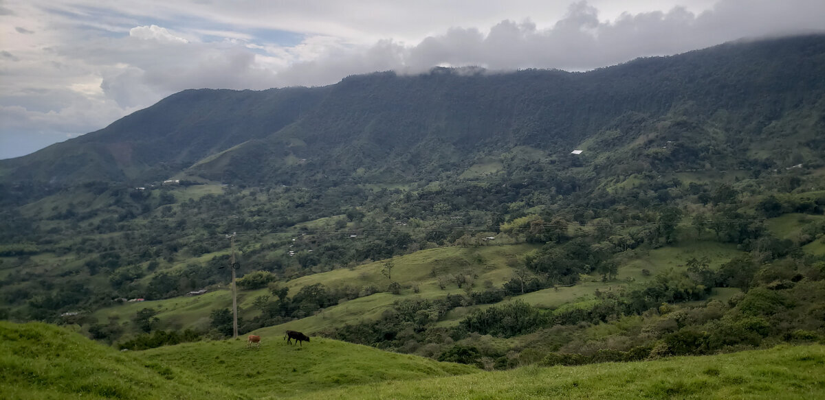 Solo cycling expedition across South America. Part 1 Colombia. Chapter 31. La Sierra - My, A bike, Travels, Solo travel, Bike trip, South America, Bike ride, Colombia, Road, The mountains, Andes, Longpost