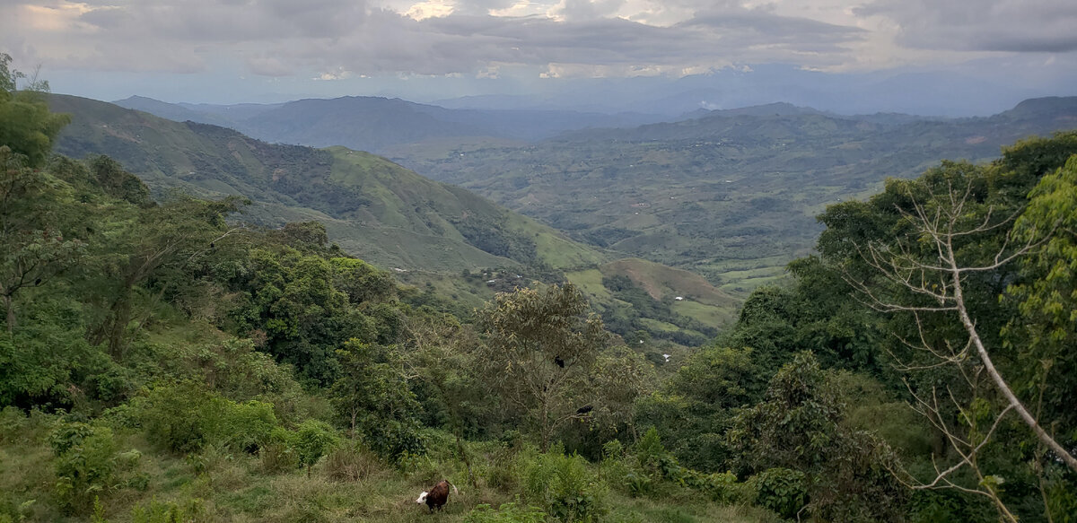 Solo cycling expedition across South America. Part 1 Colombia. Chapter 31. La Sierra - My, A bike, Travels, Solo travel, Bike trip, South America, Bike ride, Colombia, Road, The mountains, Andes, Longpost