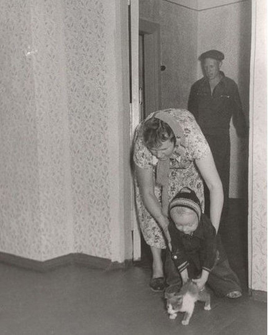 First apartment - the USSR, Youth, Youth, Apartment, cat, Children, Parents and children, The photo, Old photo, Telegram (link)