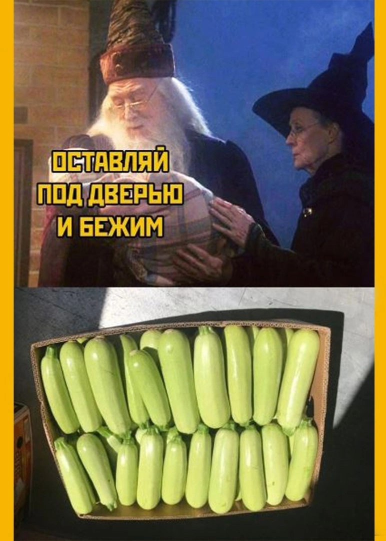 Leave it - Harry Potter, Zucchini, Picture with text