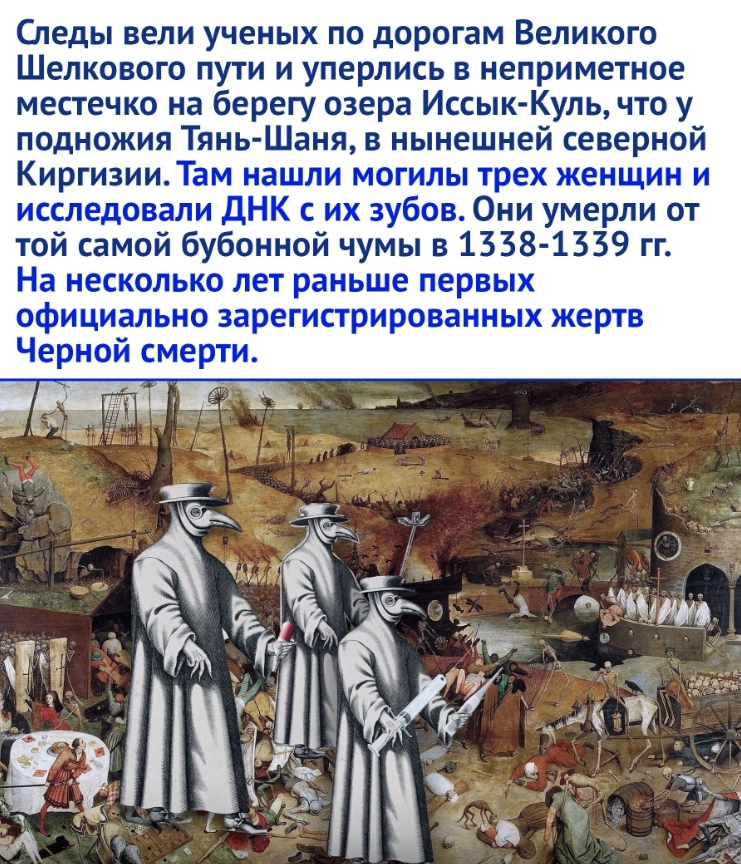 Scientists have found the source of the Black Death, the worst plague epidemic in European history. - Plague, Epidemic, Kyrgyzstan, Picture with text, Longpost