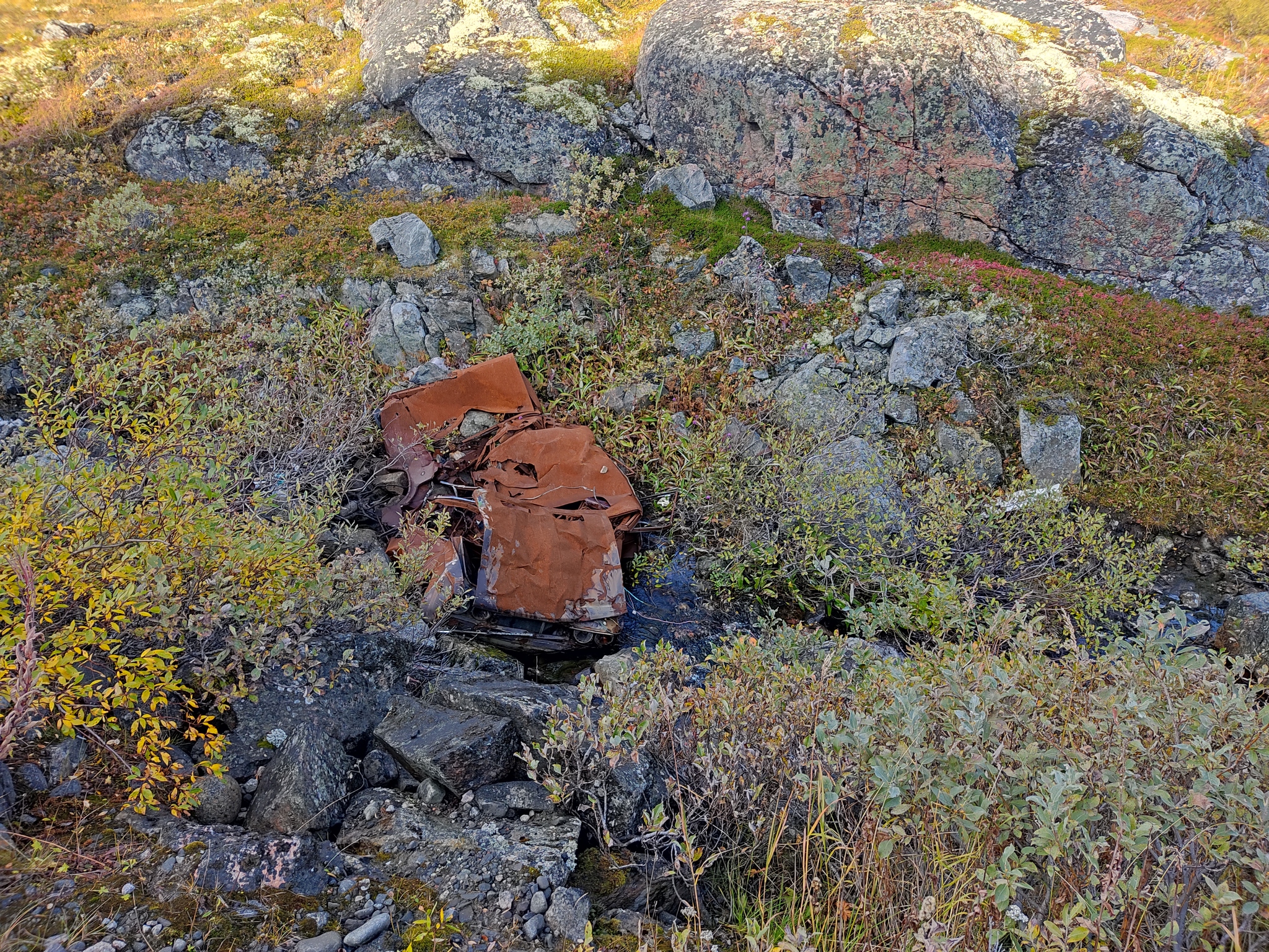 Artifacts of the Rybachy Peninsula - My, Hike, Find, North, Kola Peninsula, Hiking, Longpost, The photo, A selection