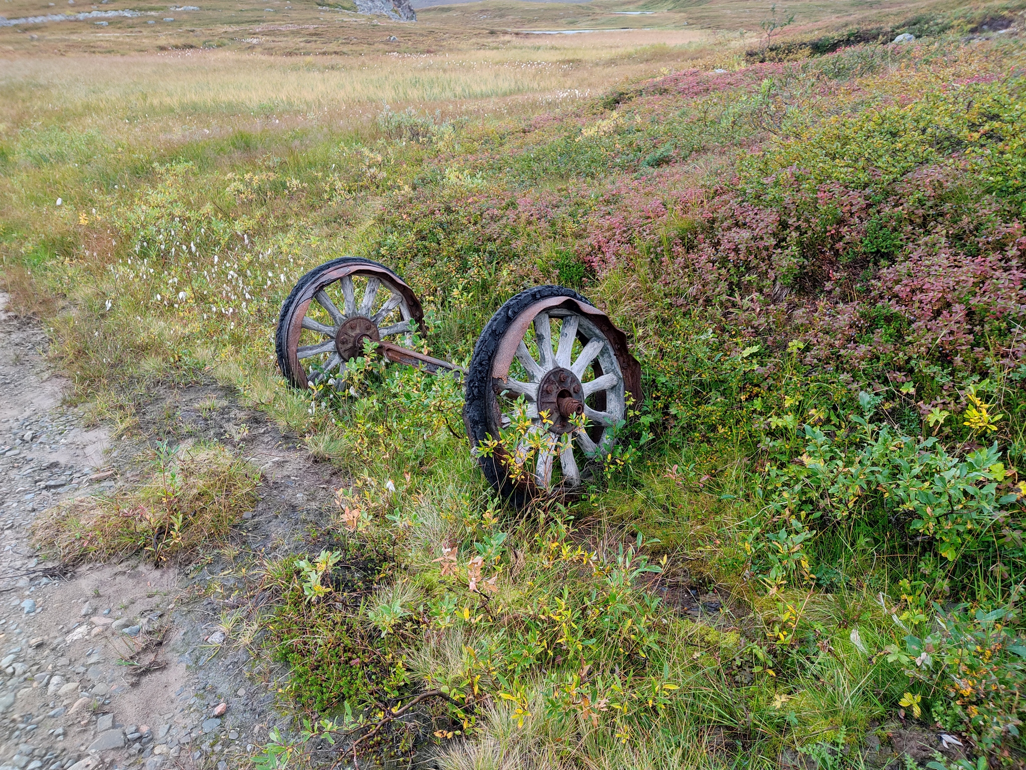 Artifacts of the Rybachy Peninsula - My, Hike, Find, North, Kola Peninsula, Hiking, Longpost, The photo, A selection