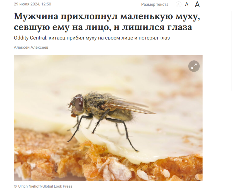 Is it possible to lose an eye due to a fly? - My, Biology, Research, Nauchpop, The science, Video VK, Scientists, Video, Longpost