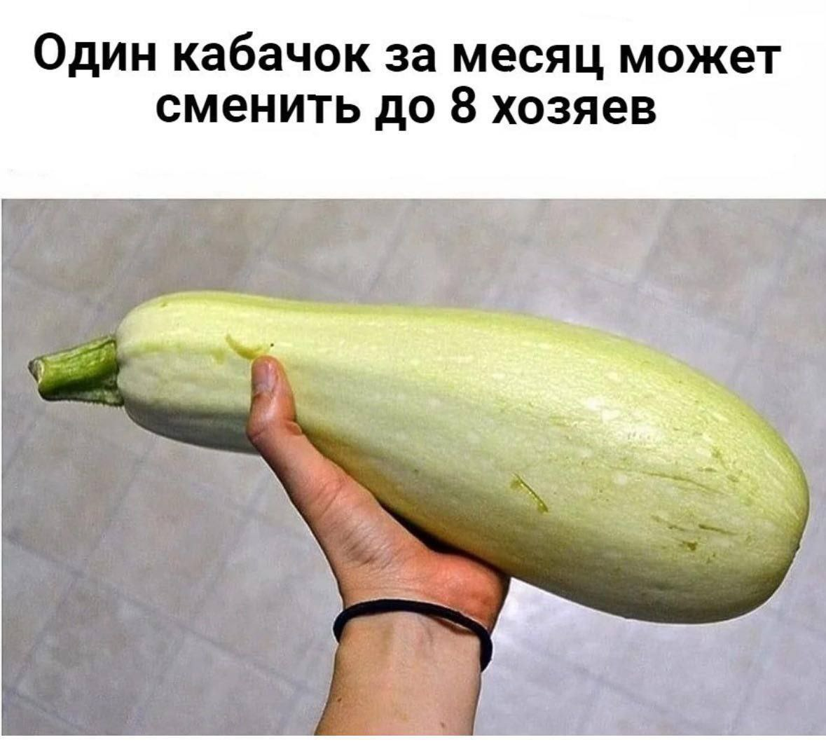 It's time for zucchini - The photo, Zucchini, Vegetables, Longpost, Repeat