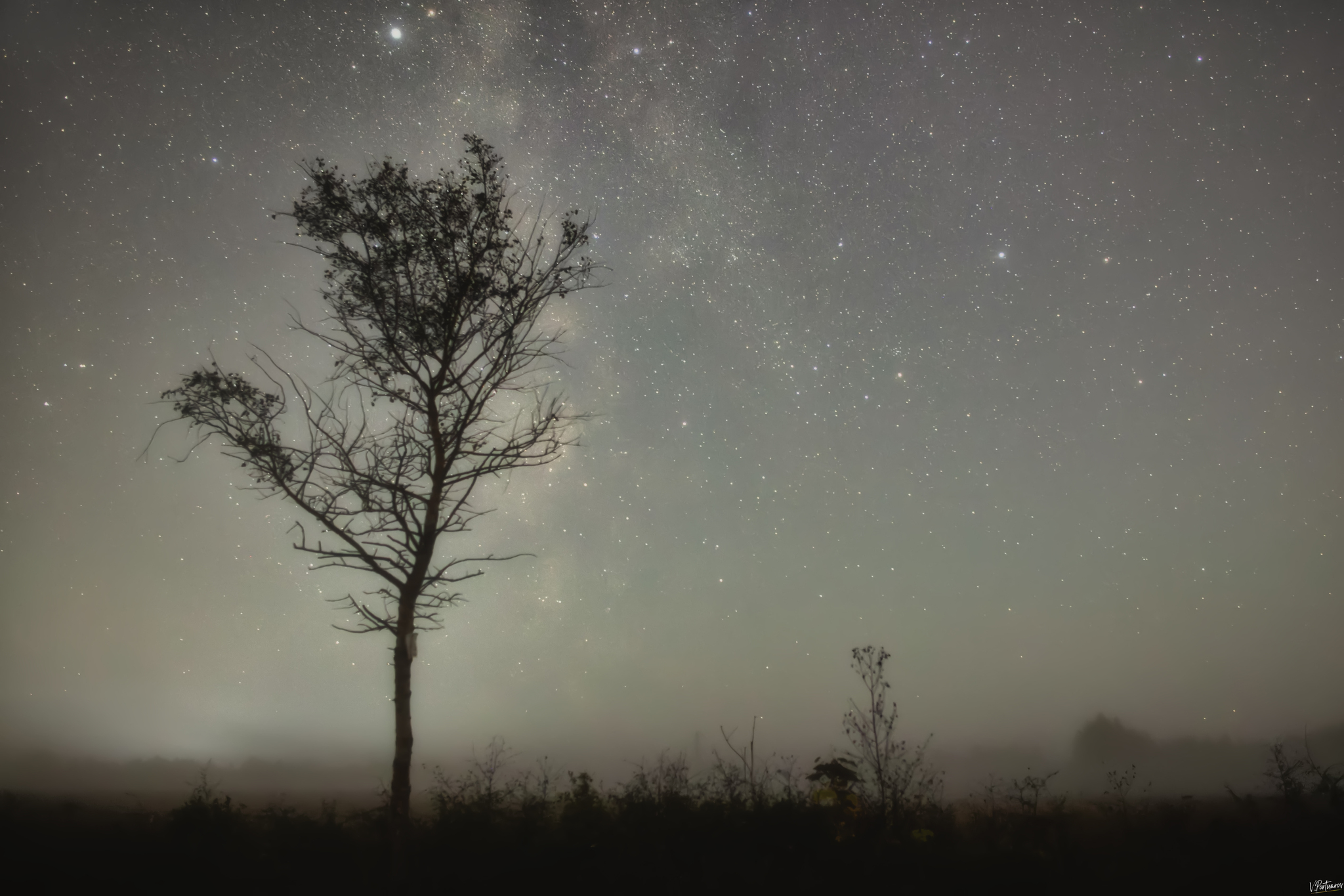 Yooooooooooooooooooooooooooooooooooooooooooooooooooooooooooooooooooooooooooooooooooooooooooooooooooooooooooooooooooo!!!!! - My, The photo, Nature, Sky, Night, Astrophoto, Fog, Starry sky, Night shooting, Summer, Landscape