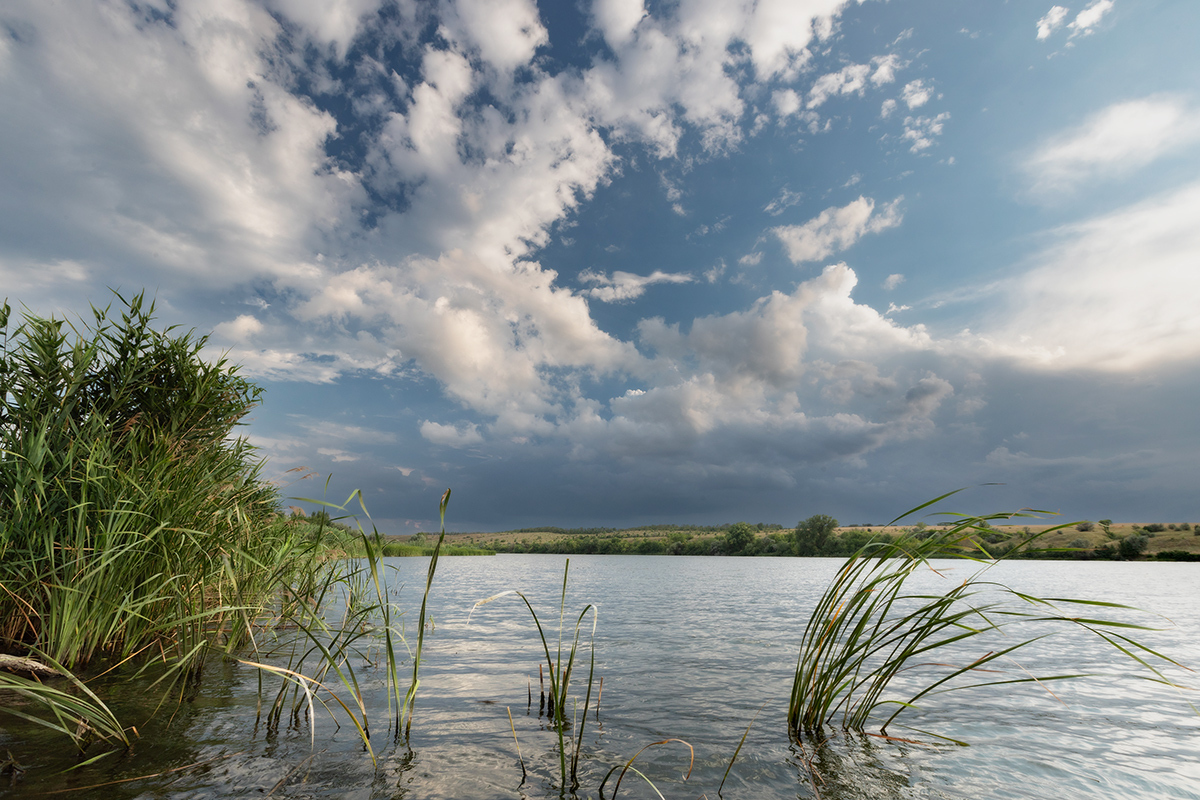 After the thunderstorm - My, Seversky Donets, Rostov region, Landscape, The photo