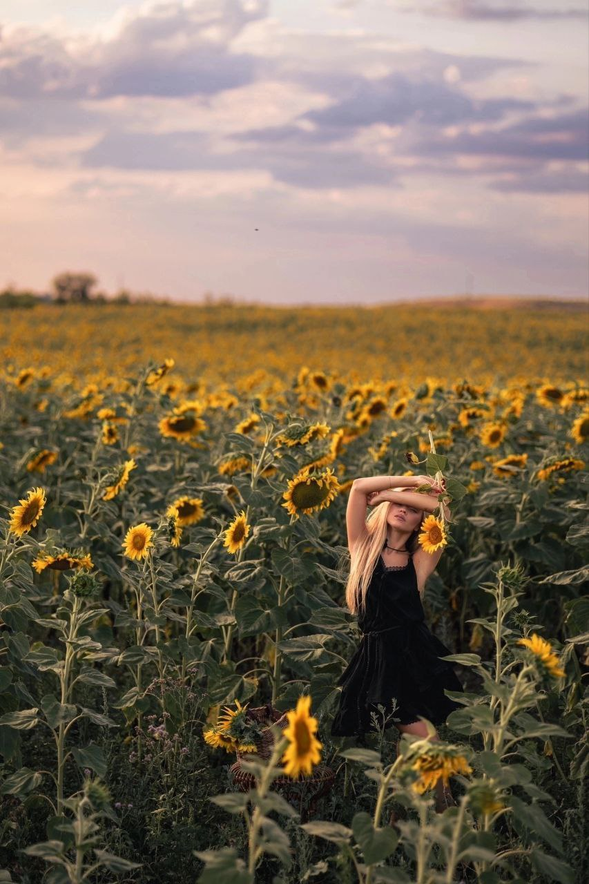 Sunflowers and which lady among them steals the campaign - beauty, The photo, Girls, PHOTOSESSION, Professional photo shoot, Fashion model, Professional shooting, Beginning photographer, Video, Youtube, Longpost