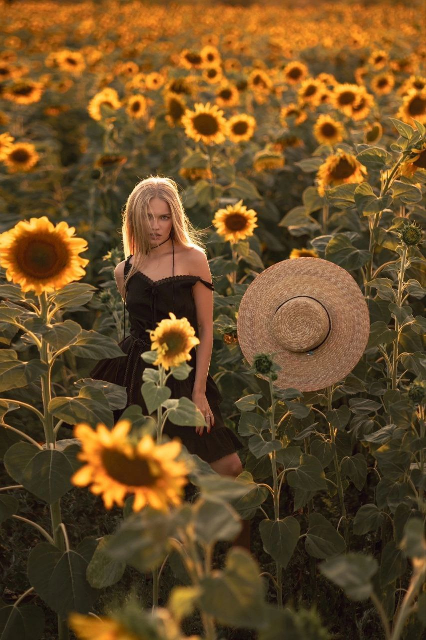 Sunflowers and which lady among them steals the campaign - beauty, The photo, Girls, PHOTOSESSION, Professional photo shoot, Fashion model, Professional shooting, Beginning photographer, Video, Youtube, Longpost