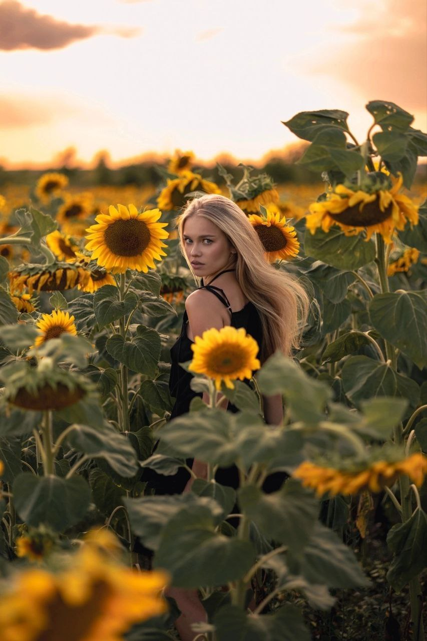 Sunflowers and which lady among them steals the campaign - beauty, The photo, Girls, PHOTOSESSION, Professional photo shoot, Fashion model, Professional shooting, Beginning photographer, Video, Youtube, Longpost