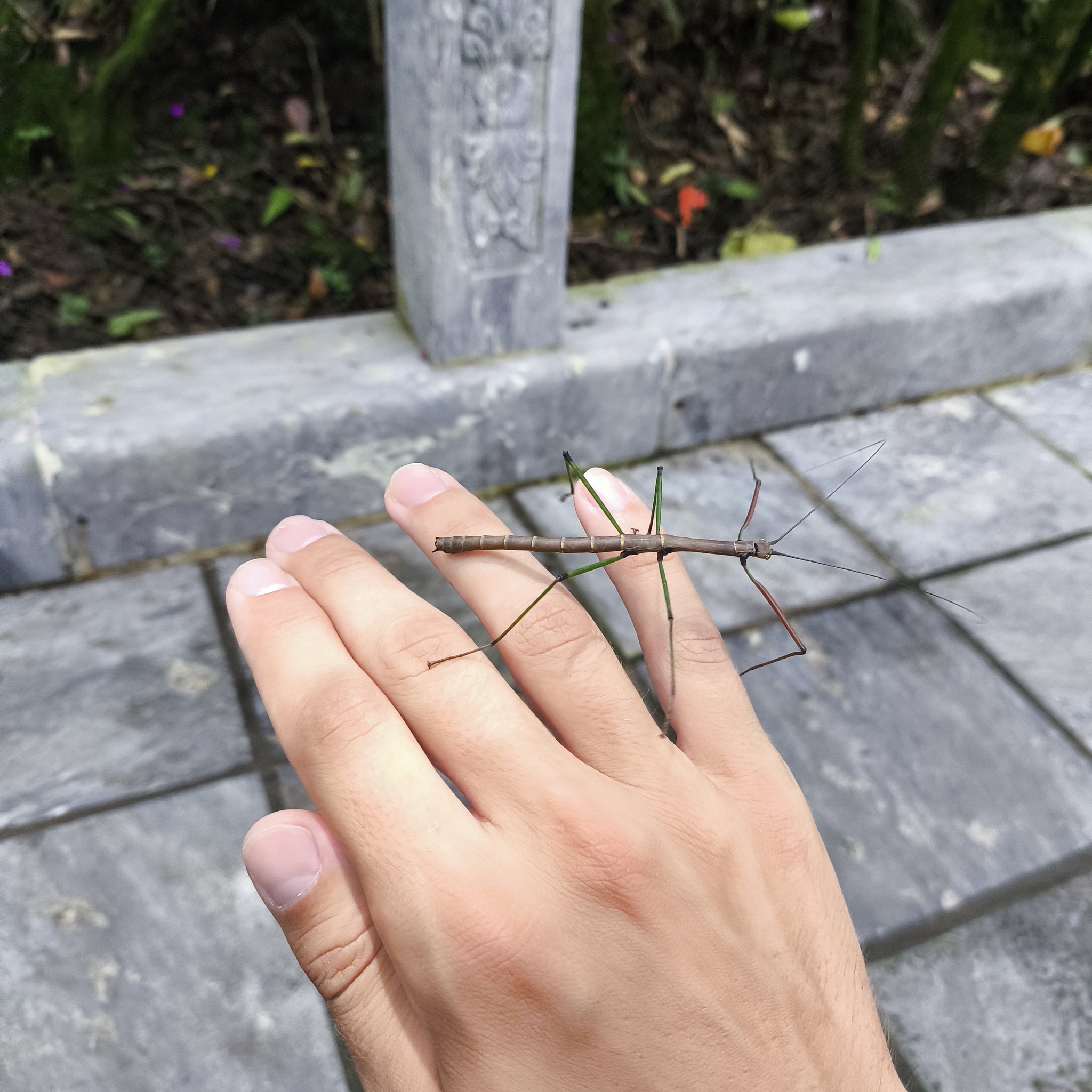 Diary of a trip to Melanesia. Vietnam. Day 42. Hands of God - My, Travels, Drive, Around the world, Vietnam, Danang, Informative, Туристы, Life stories, Video, Longpost, Melanesia