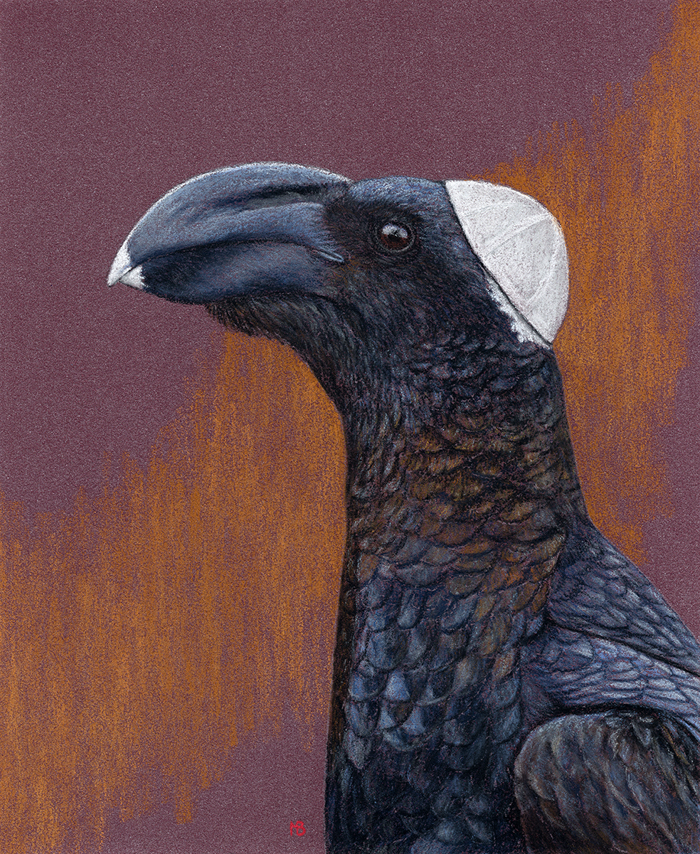 Bronze Crow - My, Art, Drawing, Birds, Animalistics, Traditional art, Pastel, Birds in hats, Crow, Bale