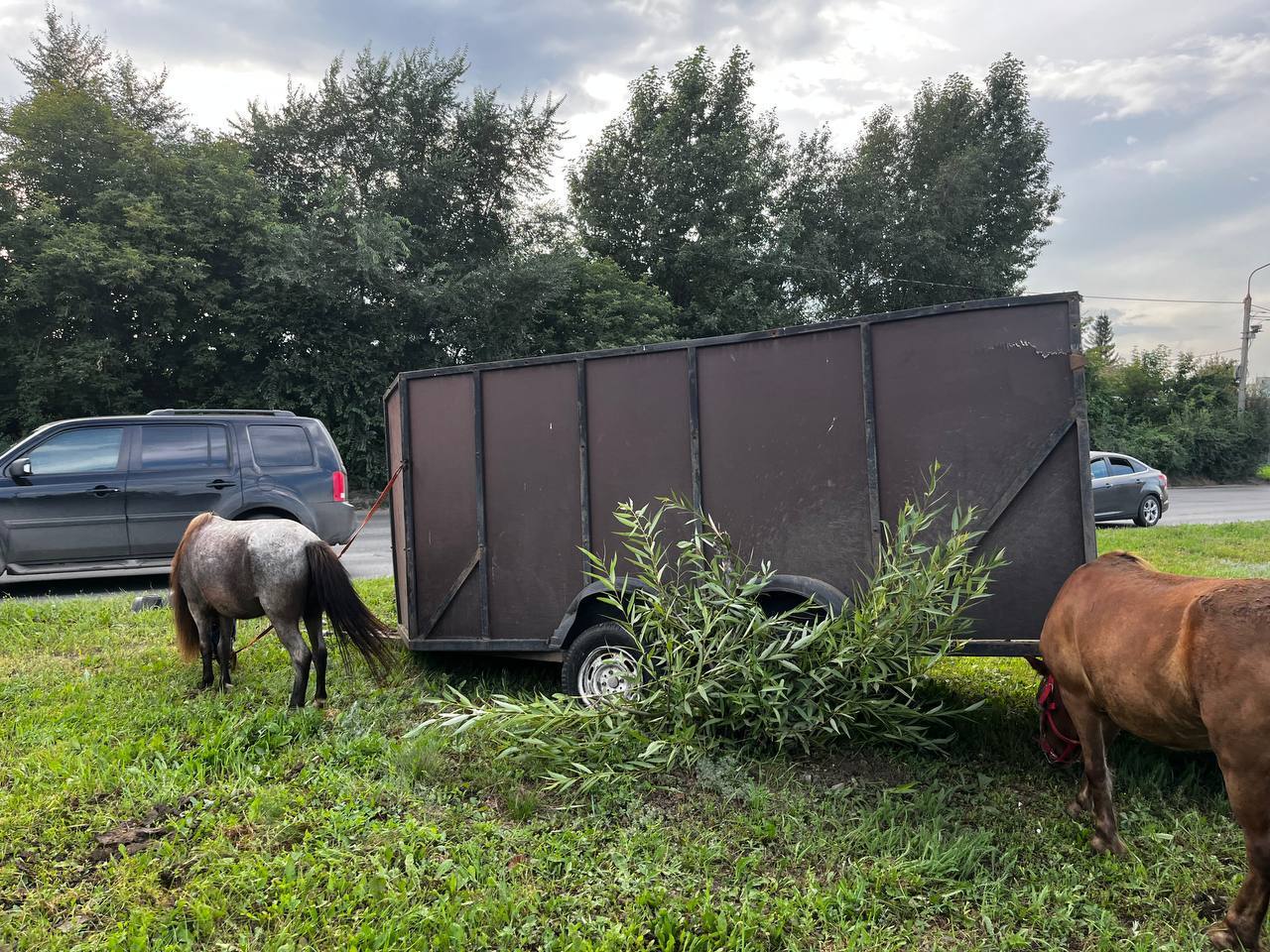 Toropygi - Omsk, Road accident, Crash, Road, Auto, Pony, Mitsubishi, AvtoVAZ, Video, Soundless, Telegram (link), Children, Vertical video, Longpost, Violation of traffic rules