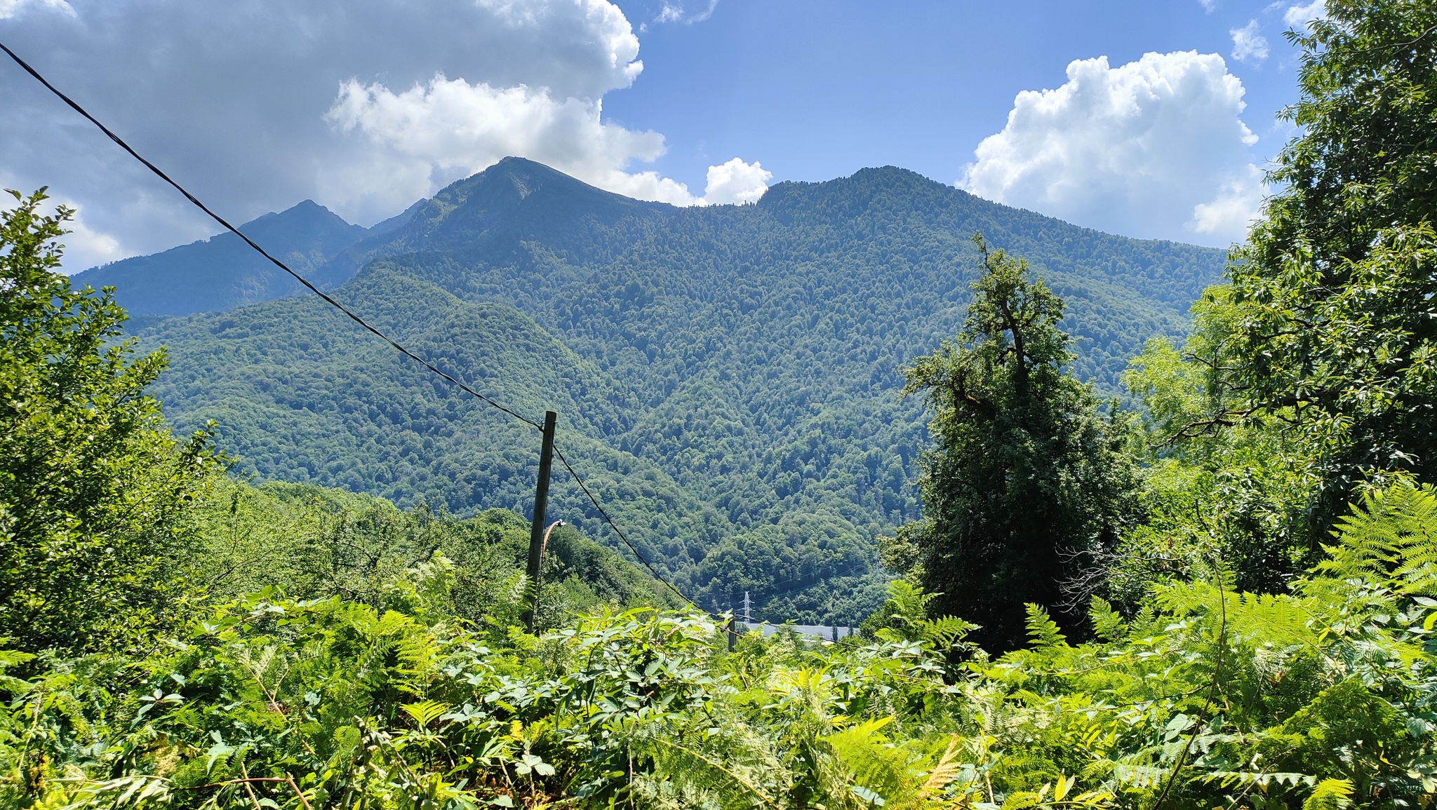 Observation deck (Krugozor Efremova) in the village of Krasnaya Polyana - My, Krasnaya Polyana, Mobile photography, Beautiful view, The mountains, Caucasian Reserve, Video, Longpost, Sochi, Nature