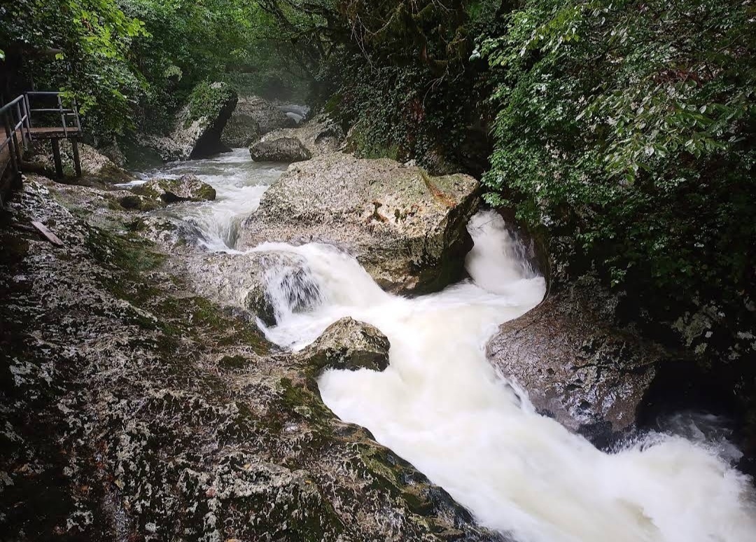 Traveling around Abkhazia, day three: search for a Byzantine fortress - My, Hike, Туристы, Camping, Sochi, Abkhazia, Travels, Caucasus, Survival, Forest, Fortress, Tourism, Byzantium, Video, Vertical video, Longpost