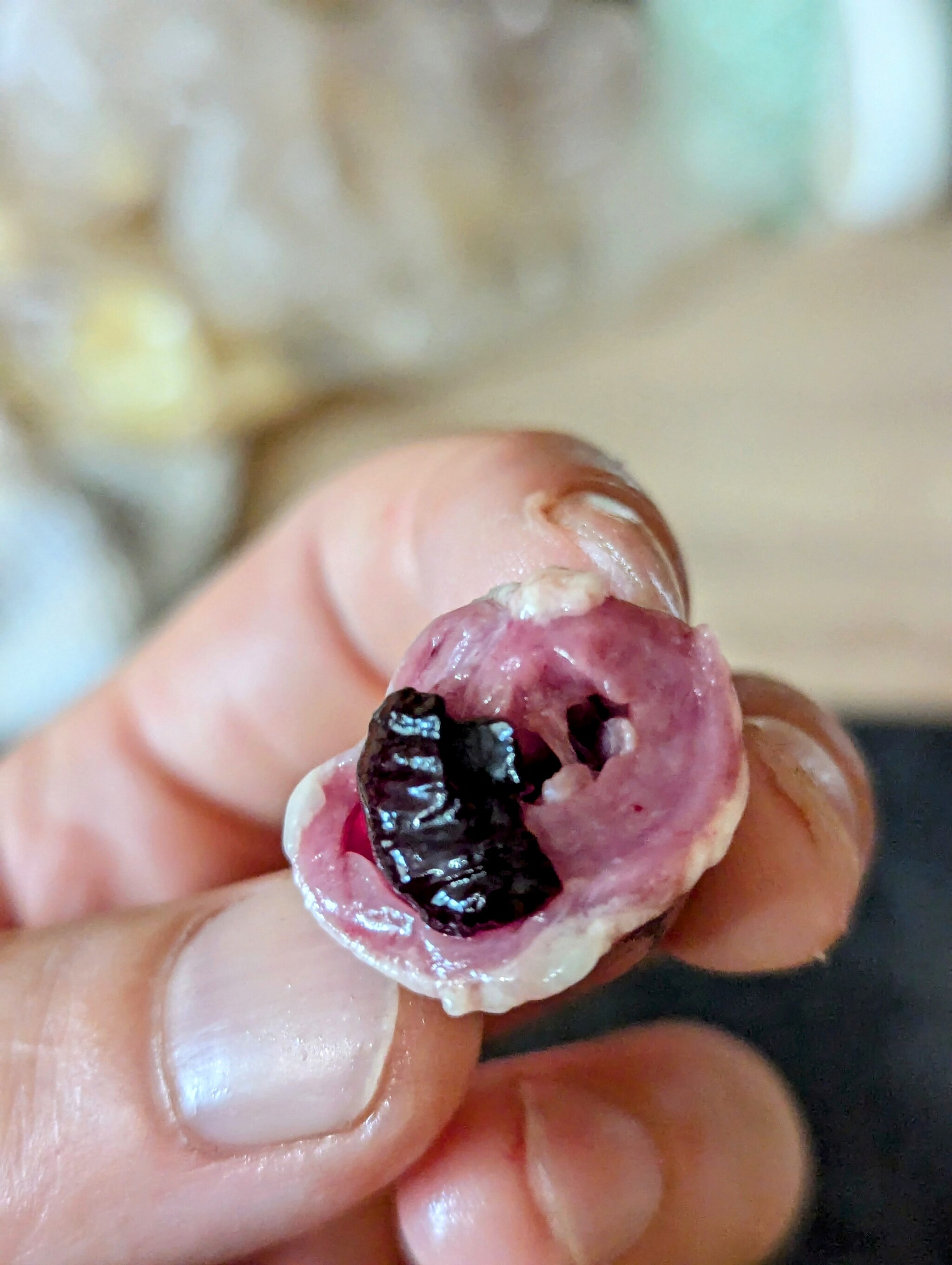 Do you clean chicken hearts? - My, Cooking, Offal, Butchering, Longpost