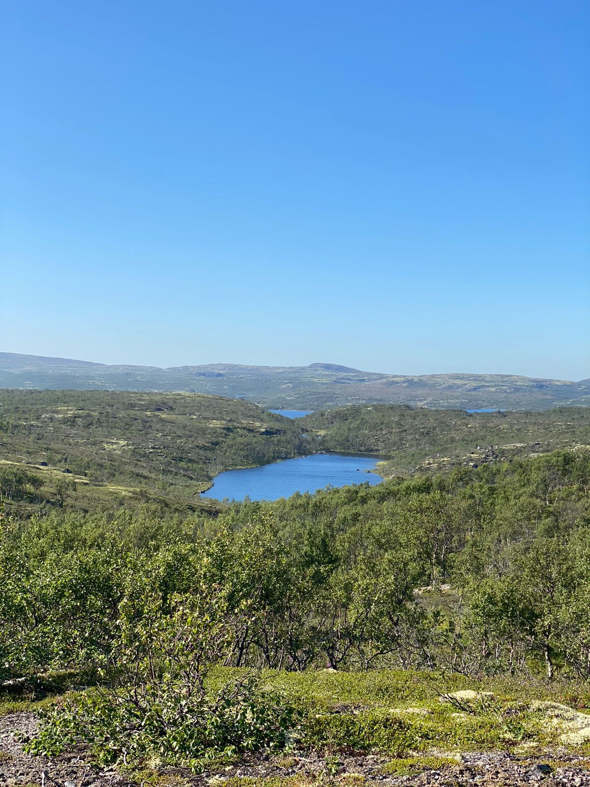 I love my Arctic - My, The photo, Mobile photography, Kola Peninsula, Hills, Murmansk, Murmansk region, Cloudberry, Longpost