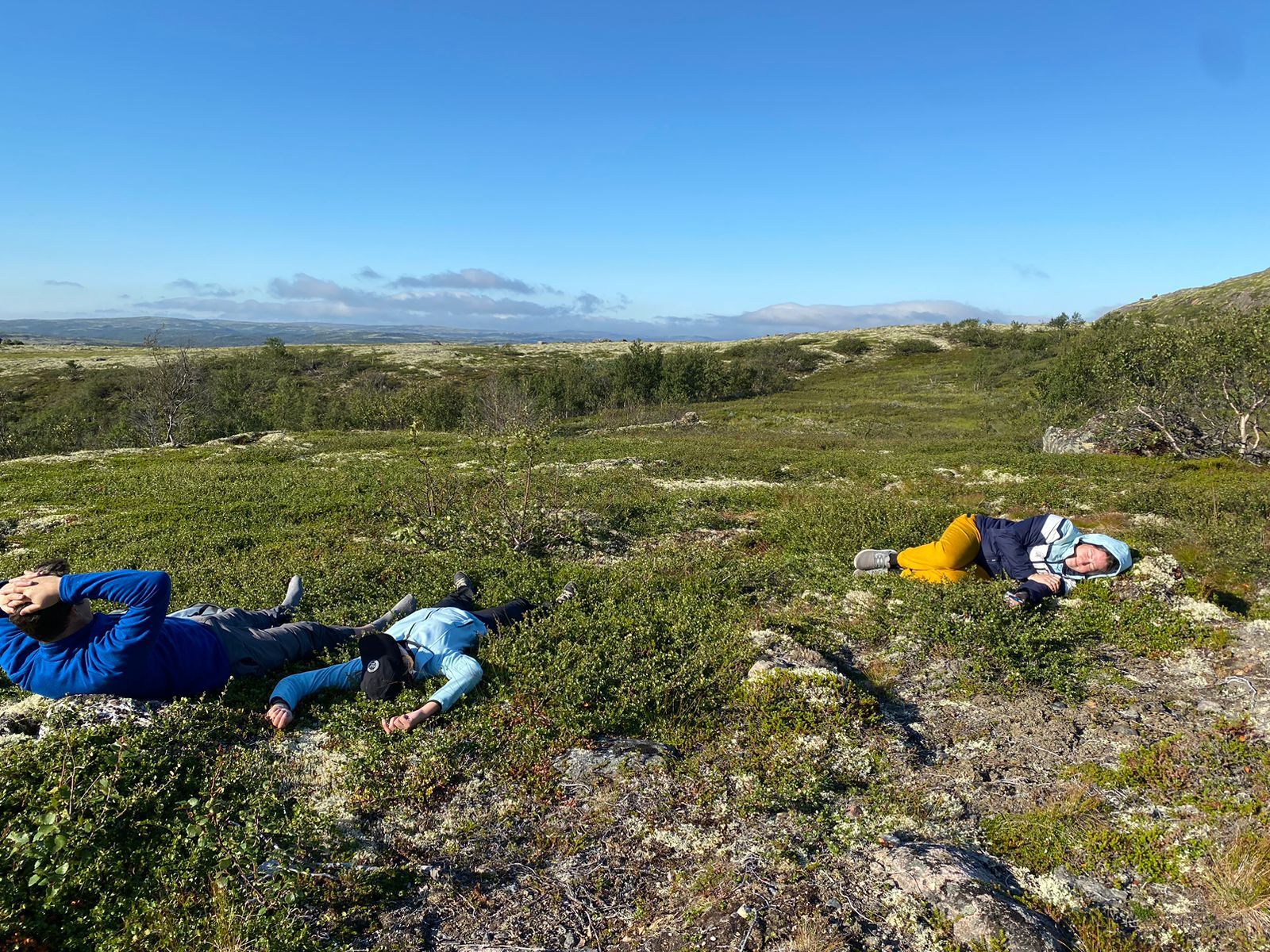 I love my Arctic - My, The photo, Mobile photography, Kola Peninsula, Hills, Murmansk, Murmansk region, Cloudberry, Longpost