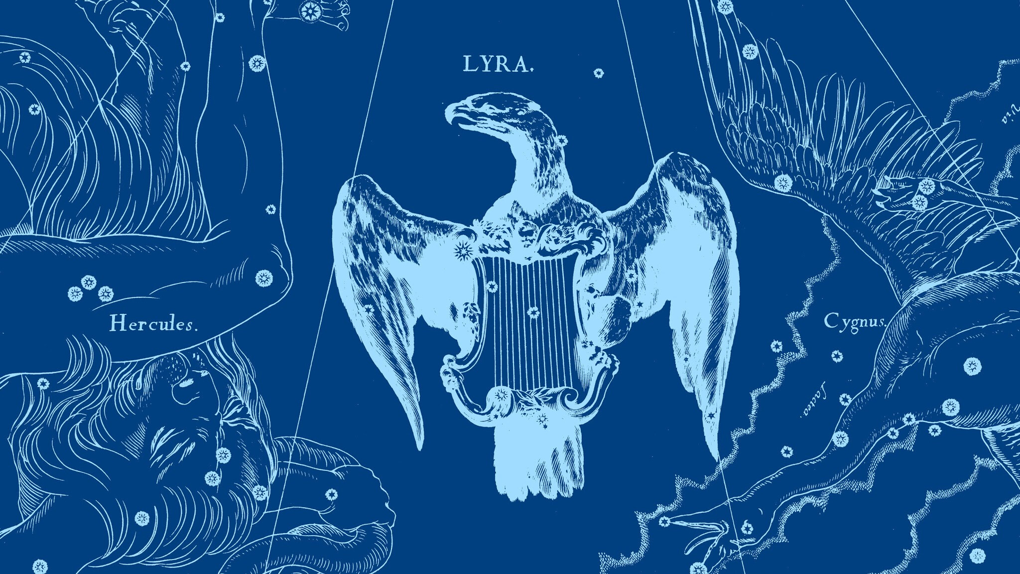 Beta Lyrae - Sheliak - My, Astronomy, Space, Astrophysics, Constellations, Stars, Lyre, GIF, Longpost