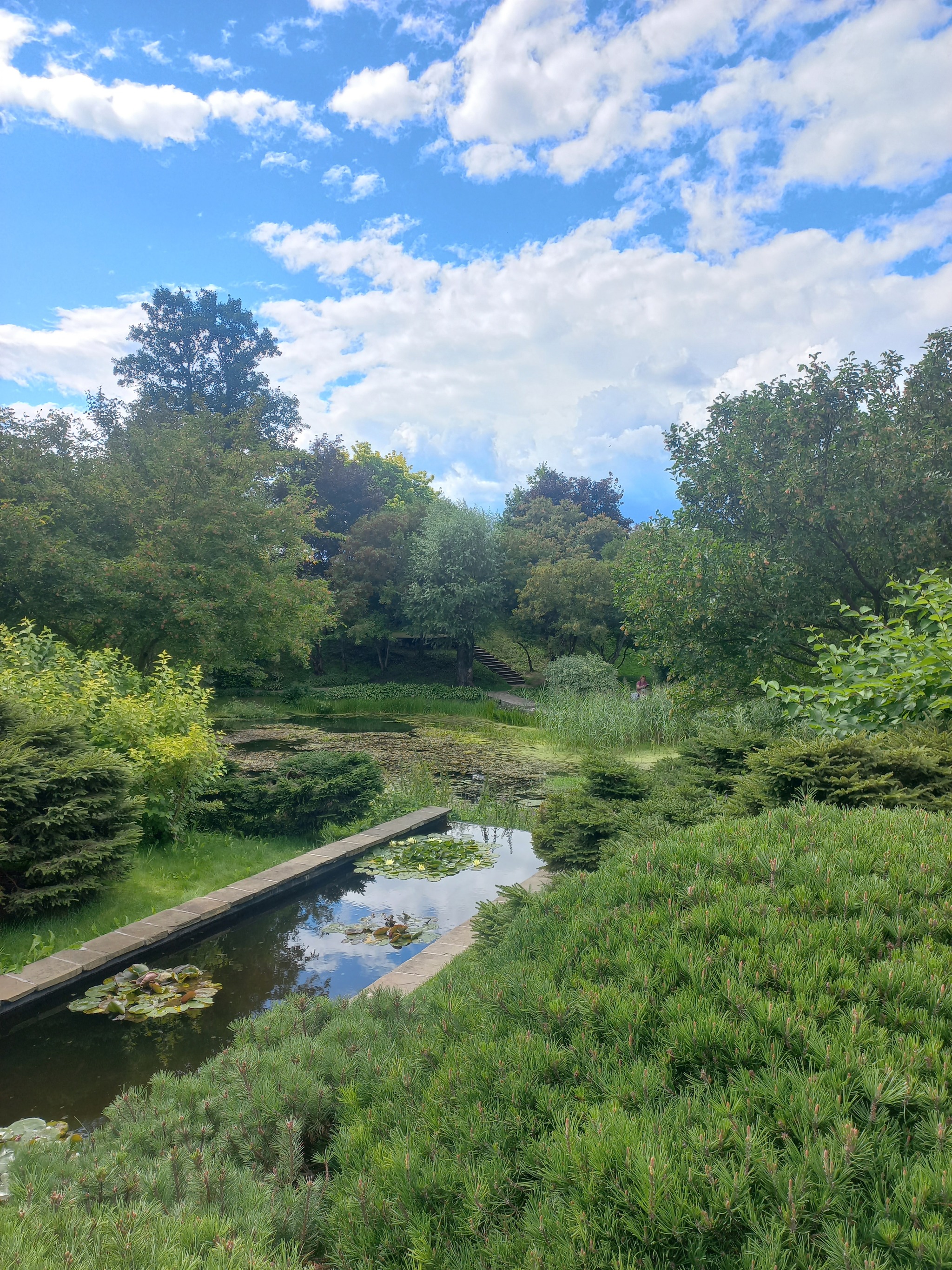 Orekhovno estate in the Pskov region - My, Travels, Pskov region, Landscape design, Mobile photography, Tourism, Longpost