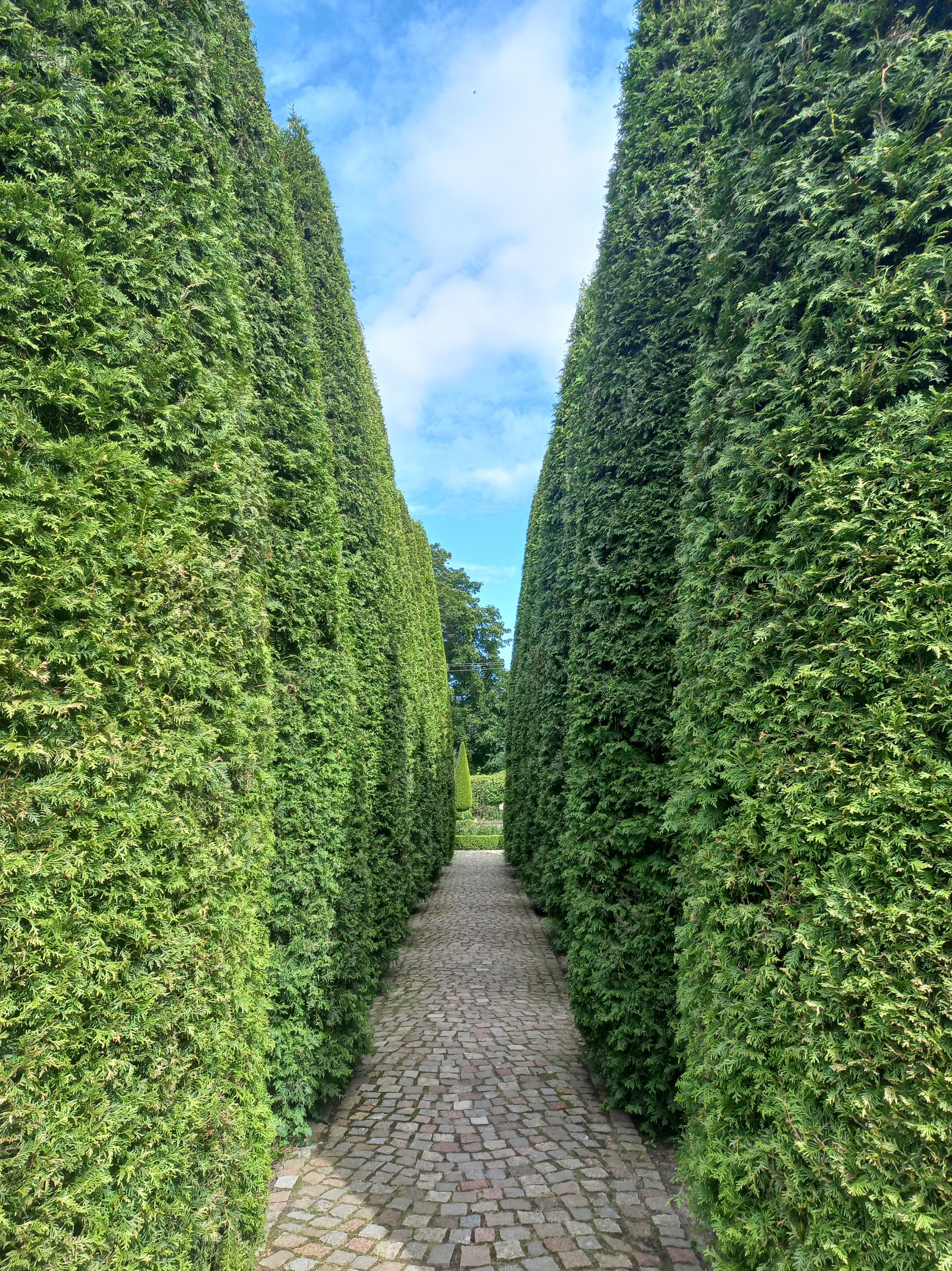 Orekhovno estate in the Pskov region - My, Travels, Pskov region, Landscape design, Mobile photography, Tourism, Longpost