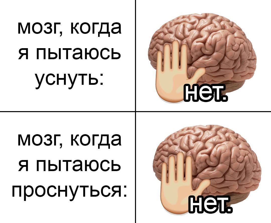 Brain - Humor, Picture with text, Memes, Brain, Dream, Telegram (link)