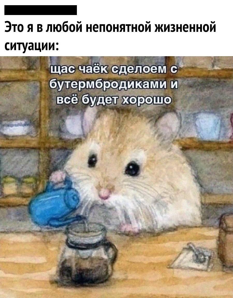 Always helps - Humor, Picture with text, Milota, Funny, Sadness, Hamster, Sadness