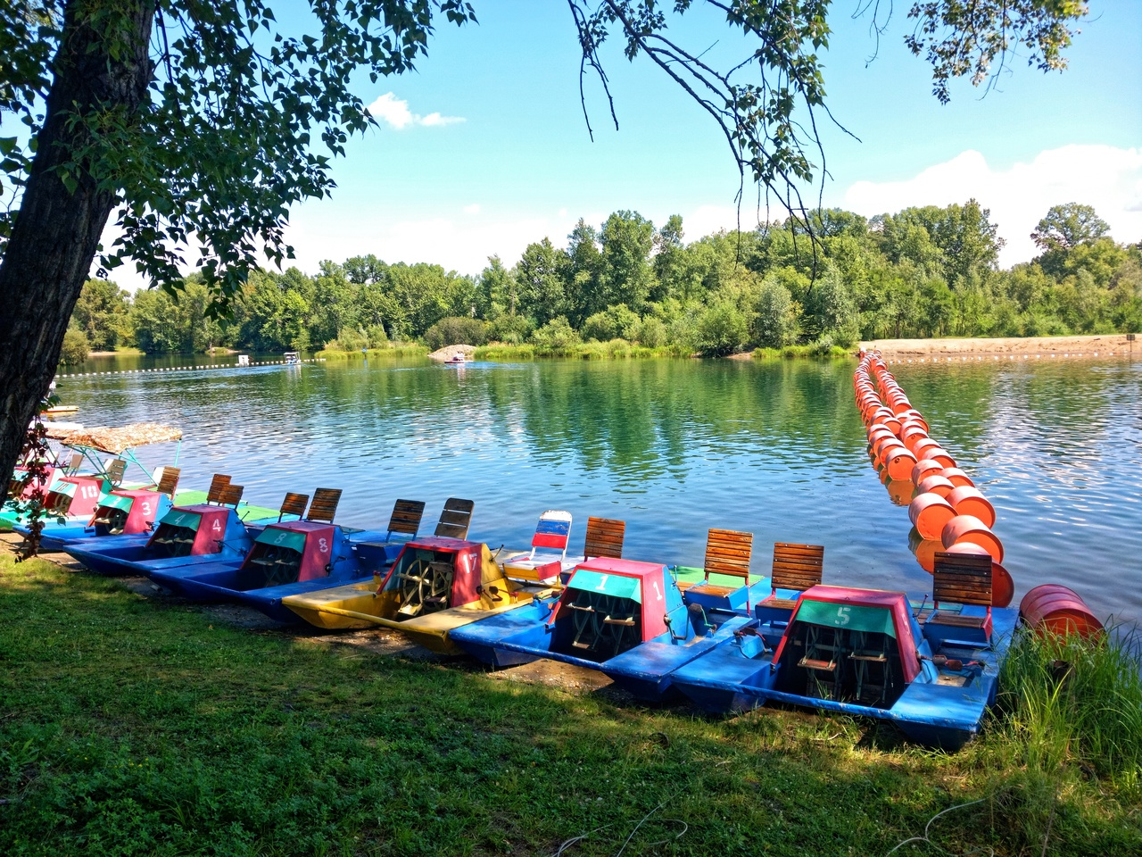 Катамараны. Зона отдыха Абакана. Прокатный пункт+ водный аттракцион - Моё, Катамаран, Парк, Природа, Абакан, Сибирь, Хакасия, Россия, Прокат, Водоем, Отдых на природе, Пирс, Берег, Длиннопост