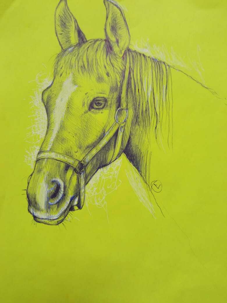 Drawing at work - My, Drawing, Graphics, Creation, Sketch, Pen drawing, Horses, Animals