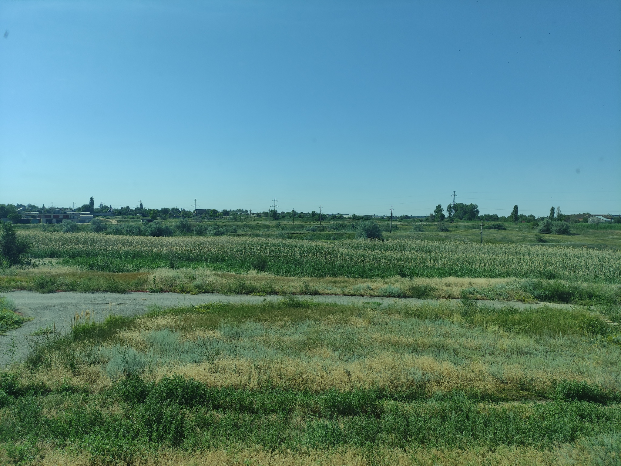 Wide steppe - My, The photo, Photographer, Nature, Canon