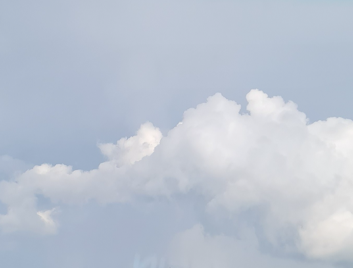 Kitten on a cloud =^__^= - My, cat, Clouds, Drive, Pareidolia, The photo