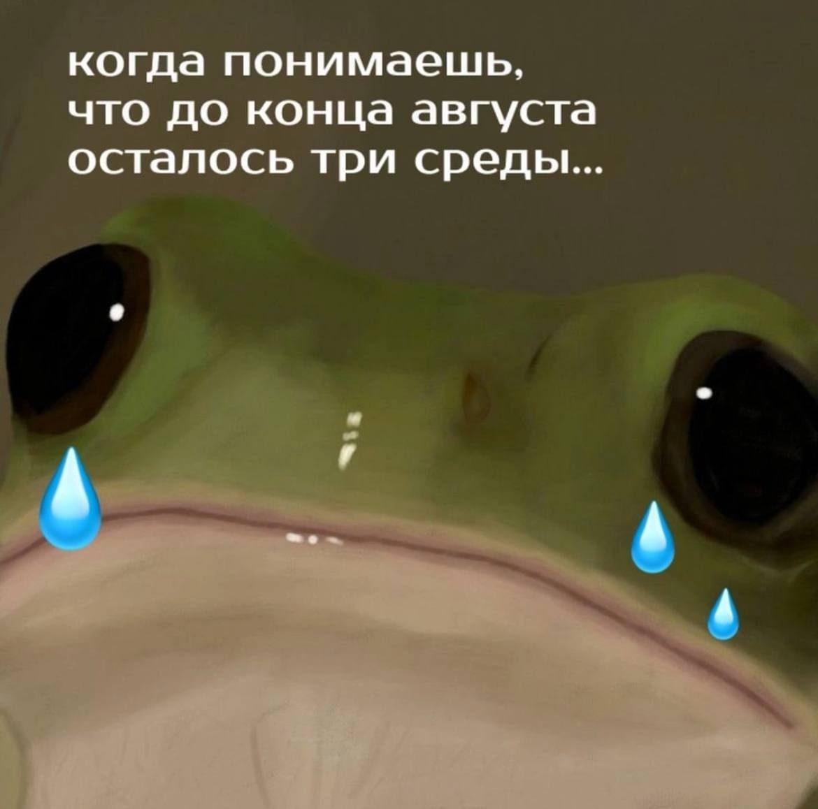 Так мало сред… - Юмор, Картинка с текстом, Мемы, It Is Wednesday My Dudes, Лягушки, Август, Telegram (ссылка)