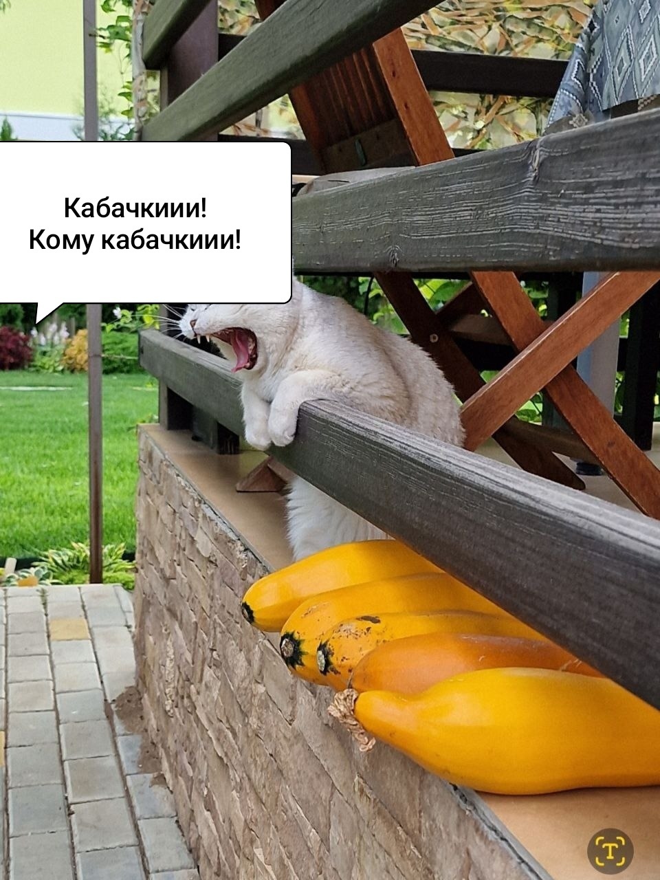 Trend for August - September! - Garden, Garden, Dacha, Strange humor, Vegetables, Humor, Longpost, Табличка, Picture with text