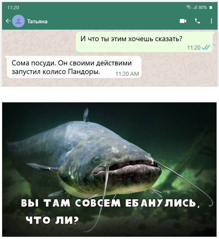 Soma... - My, Humor, Catfish, Mat, Picture with text, Correspondence