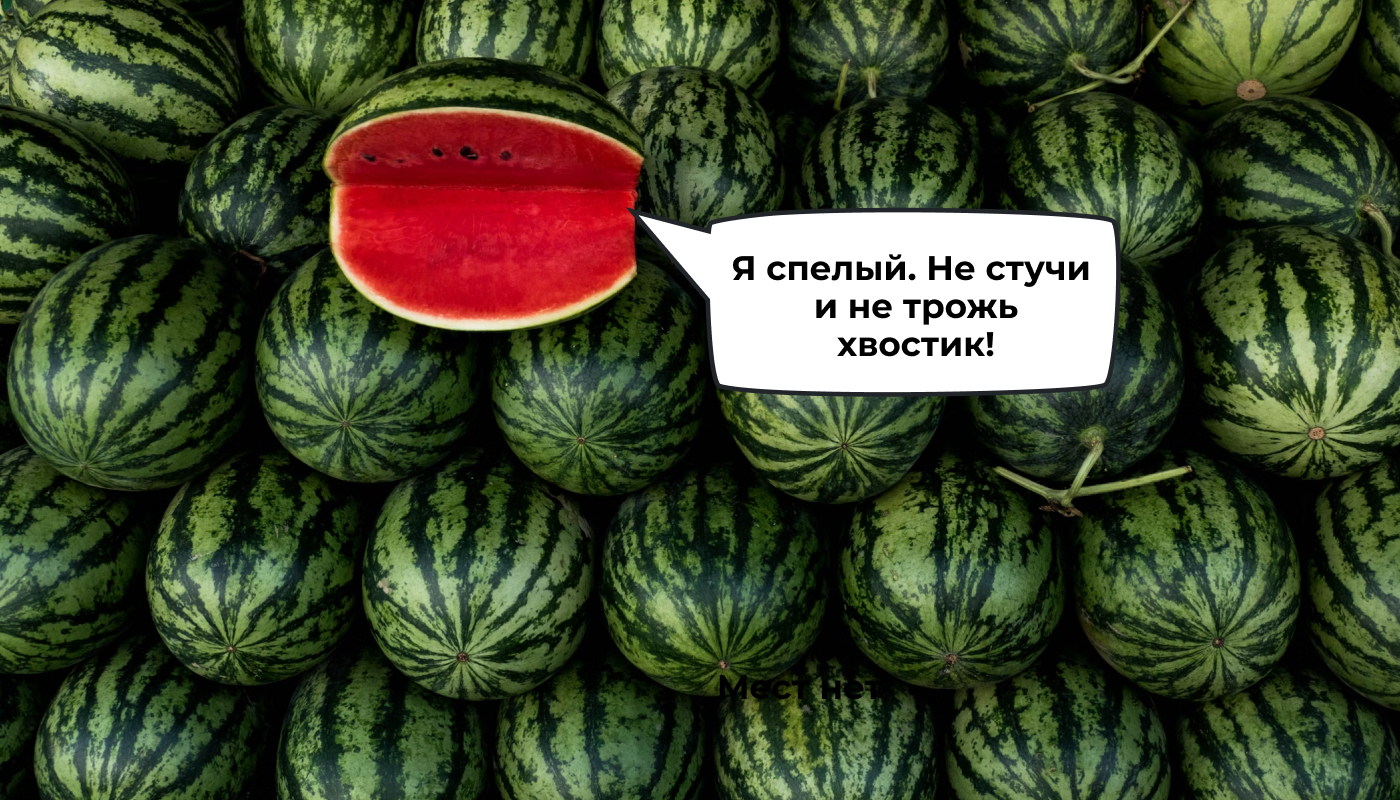 Где арбузы и дыни точно спелые: отправляемся на бахчу! - Арбуз, Лето, Путешествия, Путешествие по России, Отдых на природе, Отпуск, Поездка, Туристы, Блоги компаний