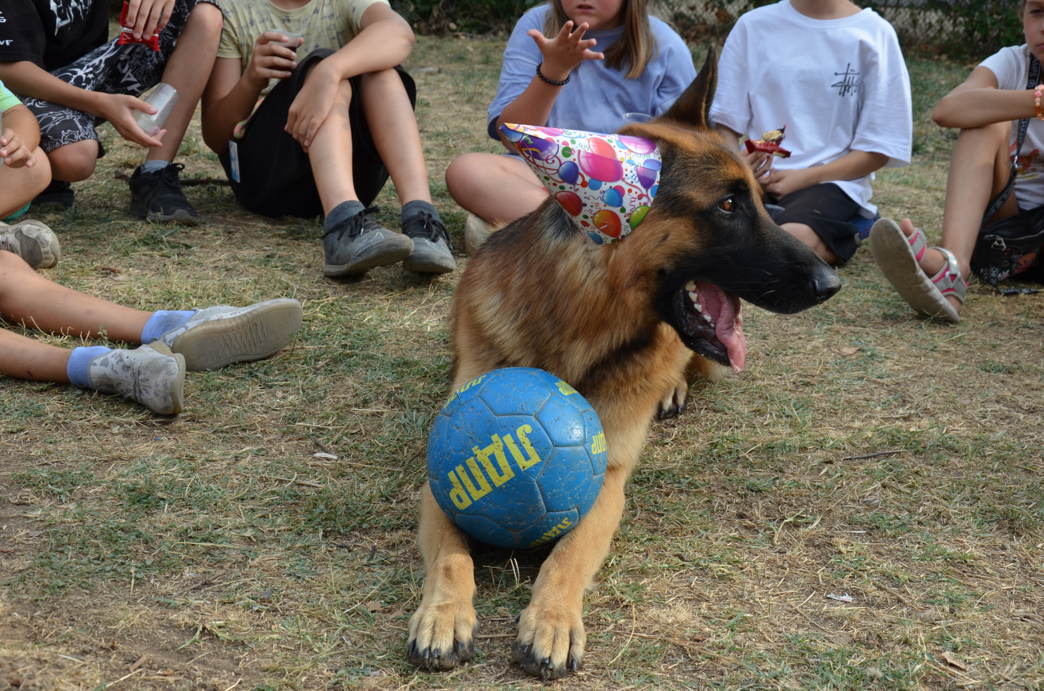 True story. Field - My, Courtyard, Football, Mini football, Yard football, Children, Parents and children, Positive, German Shepherd, Video, Longpost