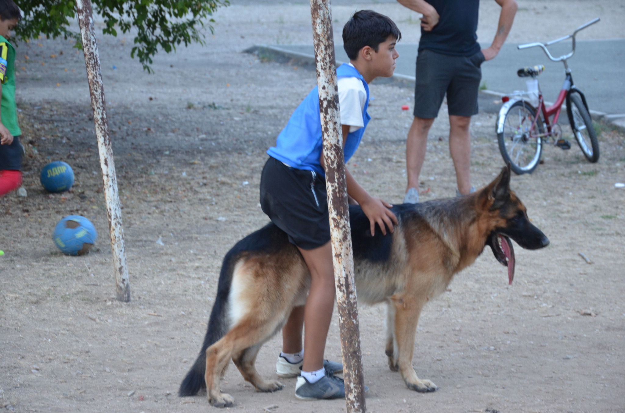 True story. Field - My, Courtyard, Football, Mini football, Yard football, Children, Parents and children, Positive, German Shepherd, Video, Longpost