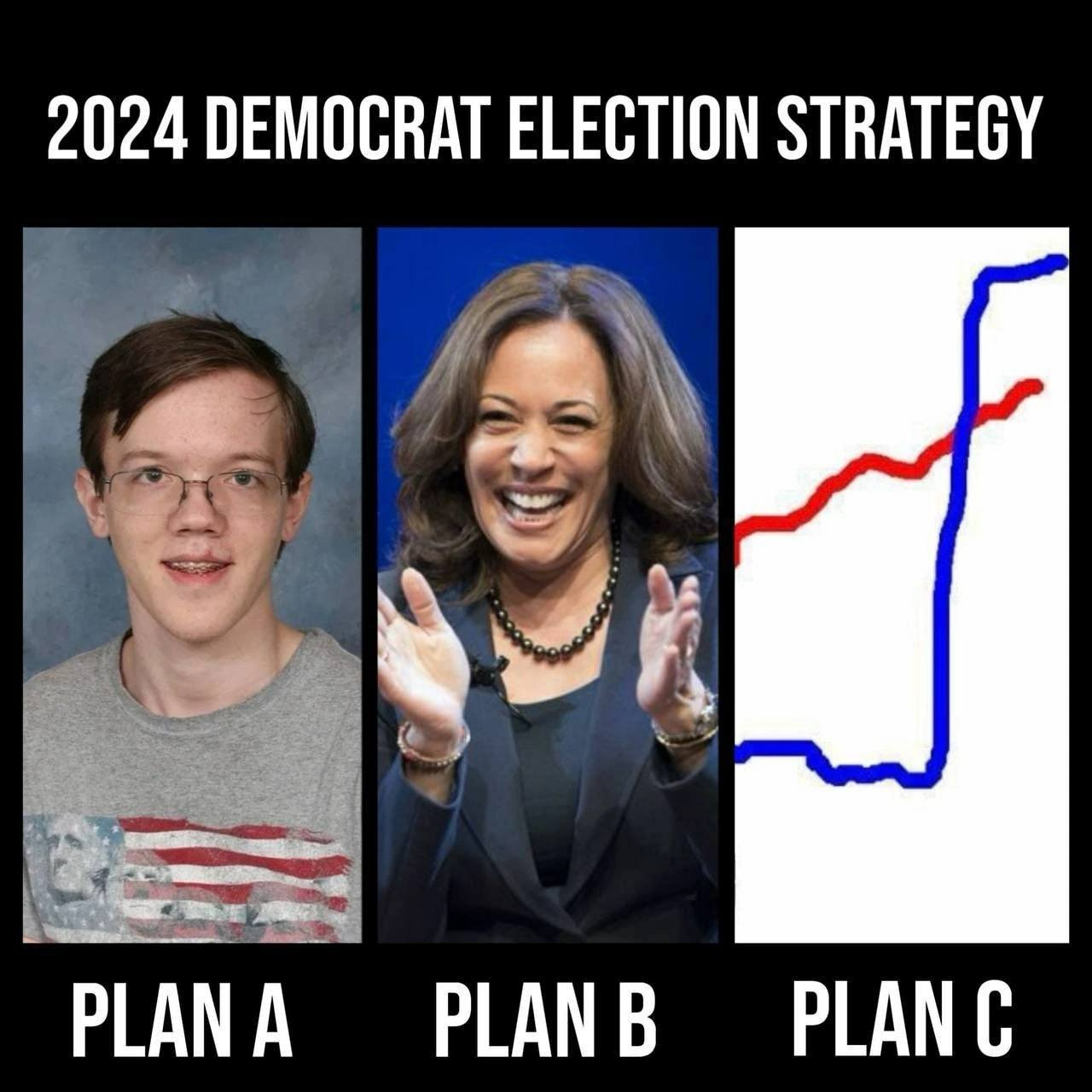 US Democratic Party strategy for the 2024 elections - Humor, Politics, USA, US elections, Donald Trump, Kamala Harris, Post #11600482