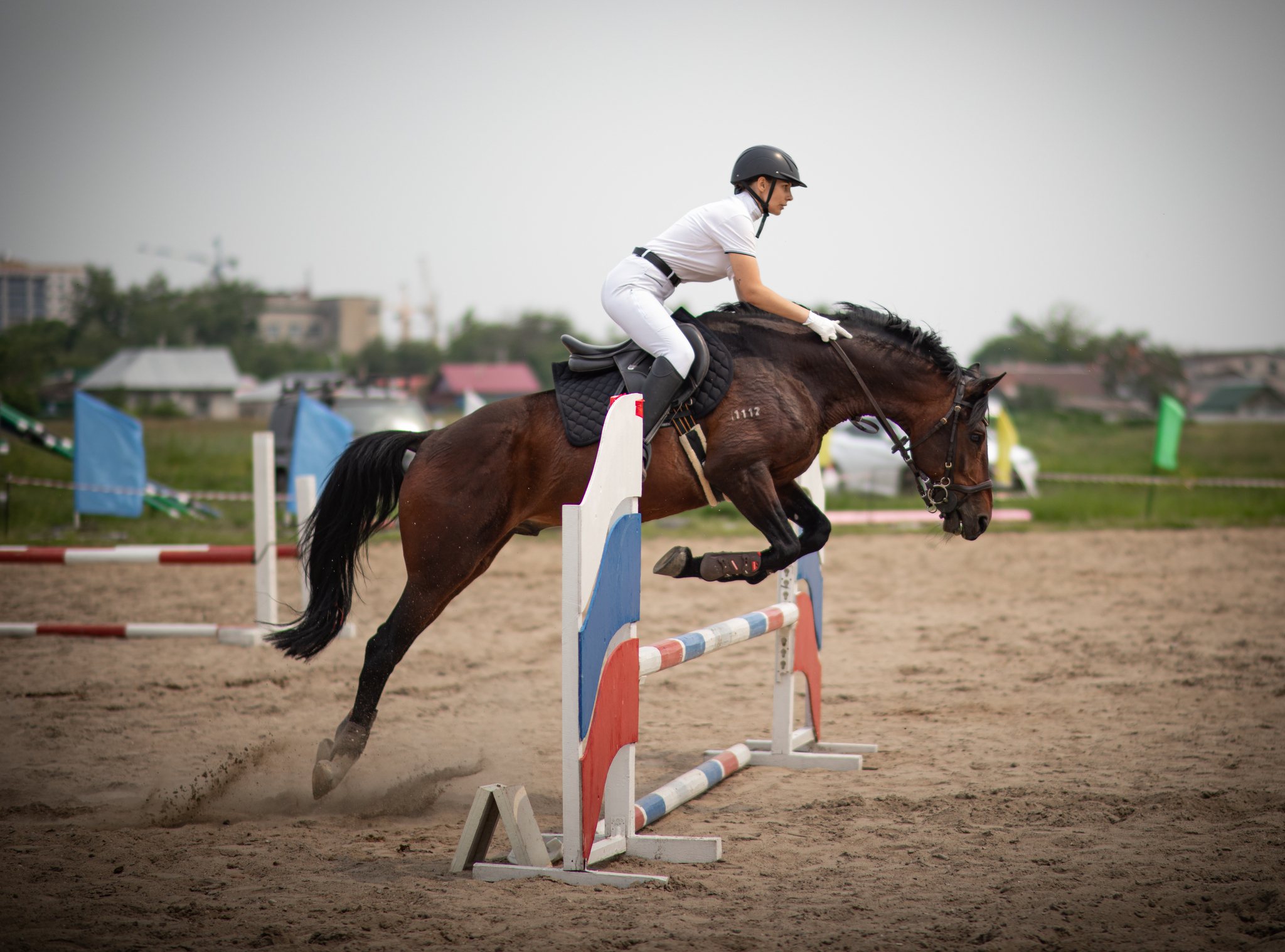 Grace and show jumping - My, The photo, Canon, Horseback riding, Horses, Jumping, Longpost