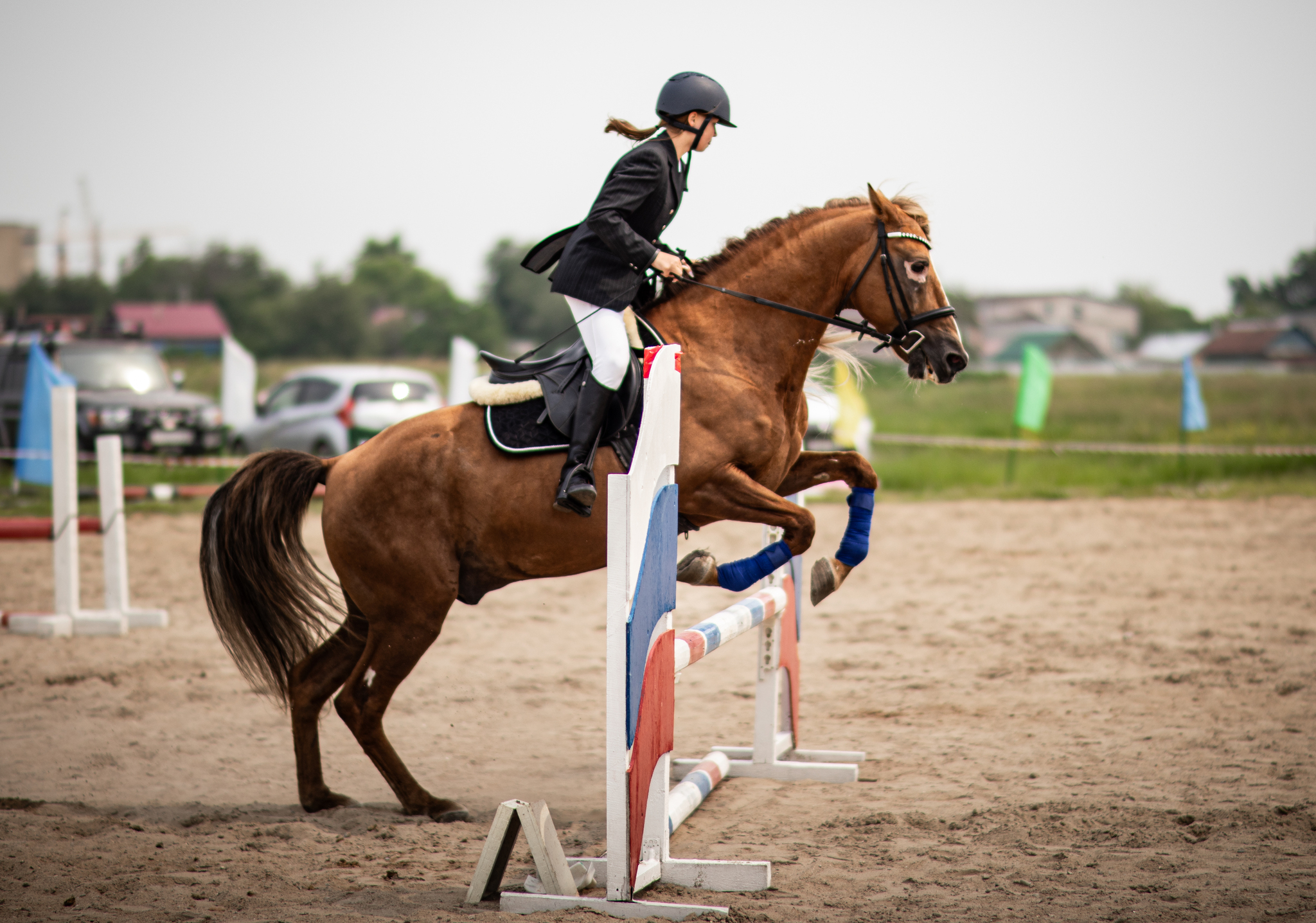 Grace and show jumping - My, The photo, Canon, Horseback riding, Horses, Jumping, Longpost